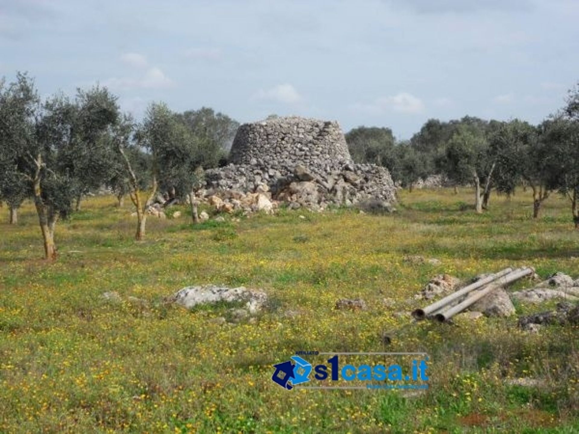 Jord i Galatina, Puglia 10700073