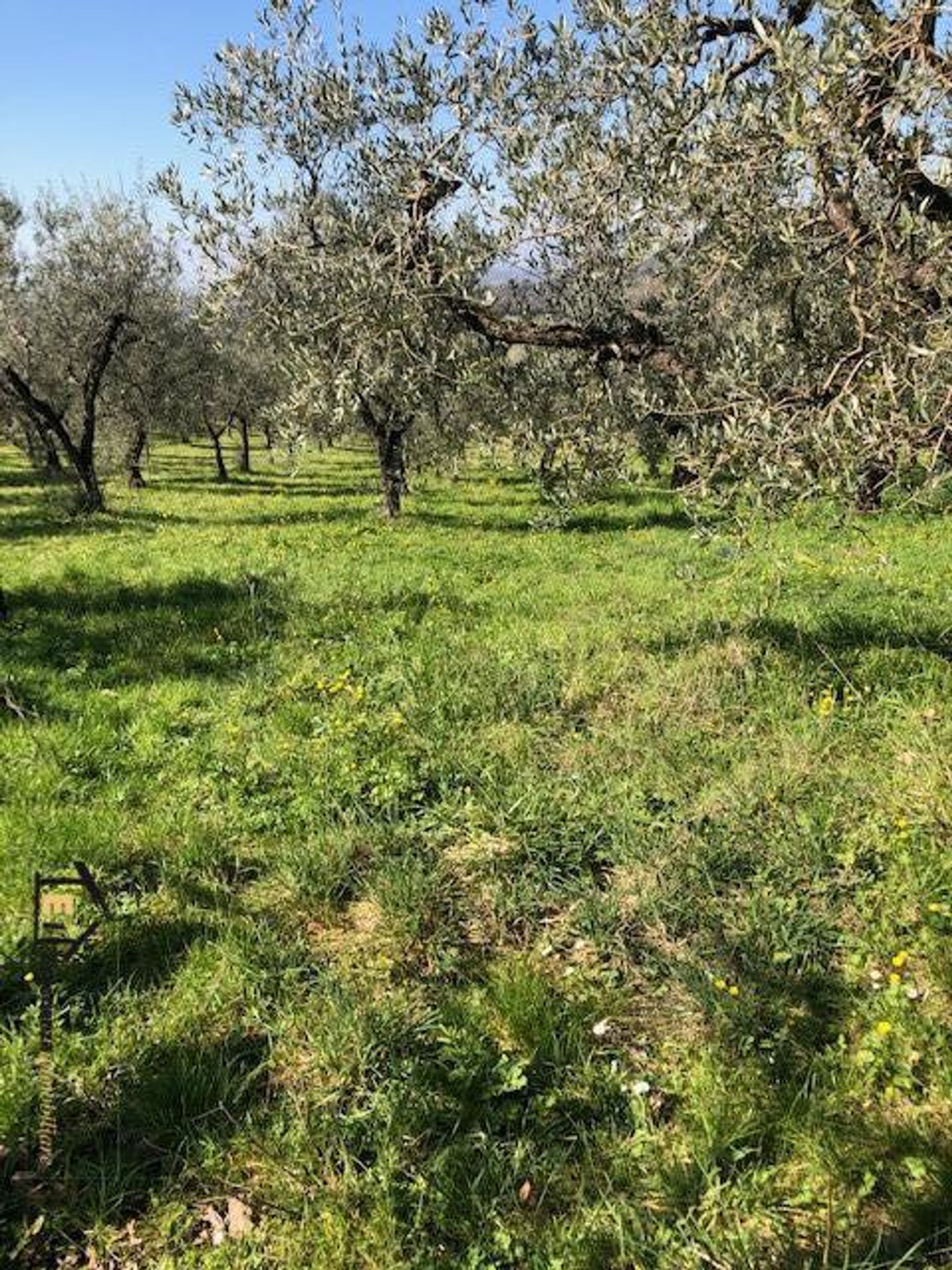 Land in Casperia, Lazio 10700152