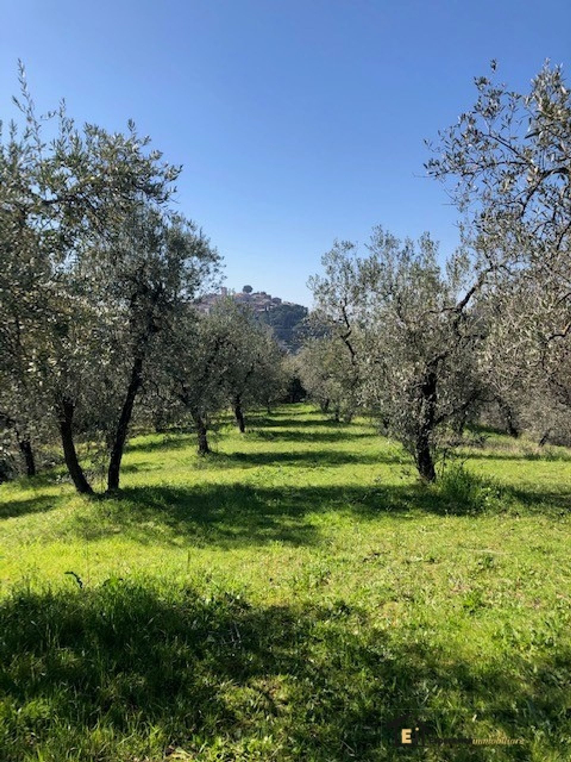 Maa sisään Casperia, Lazio 10700158