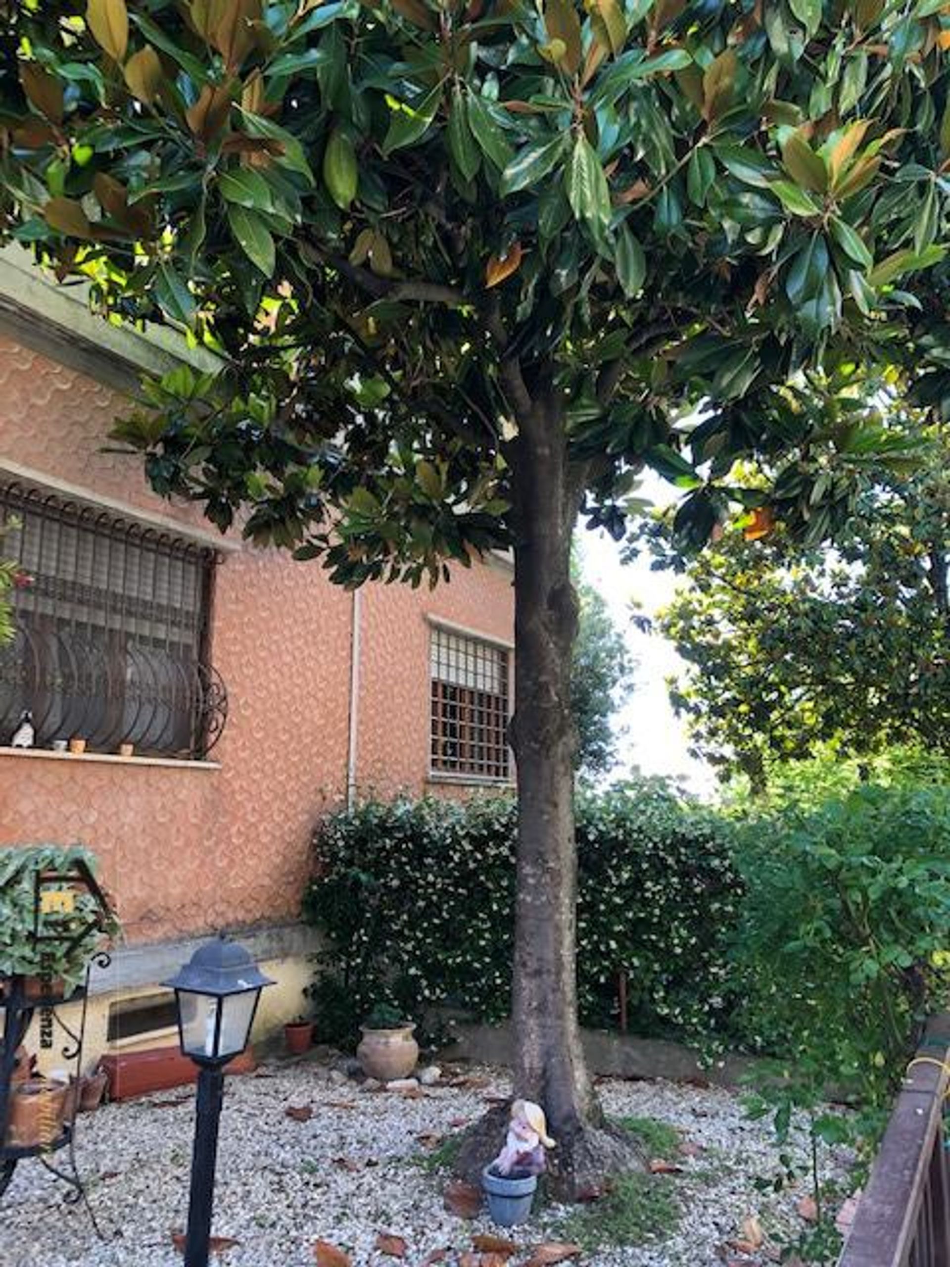 House in Poggio Mirteto, Lazio 10700171