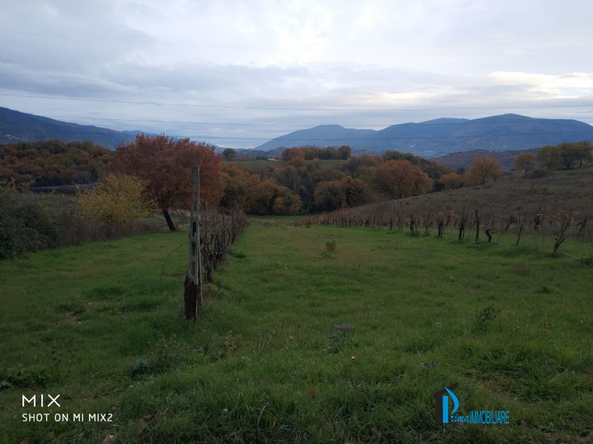 Tierra en Bevagna, Umbría 10700216