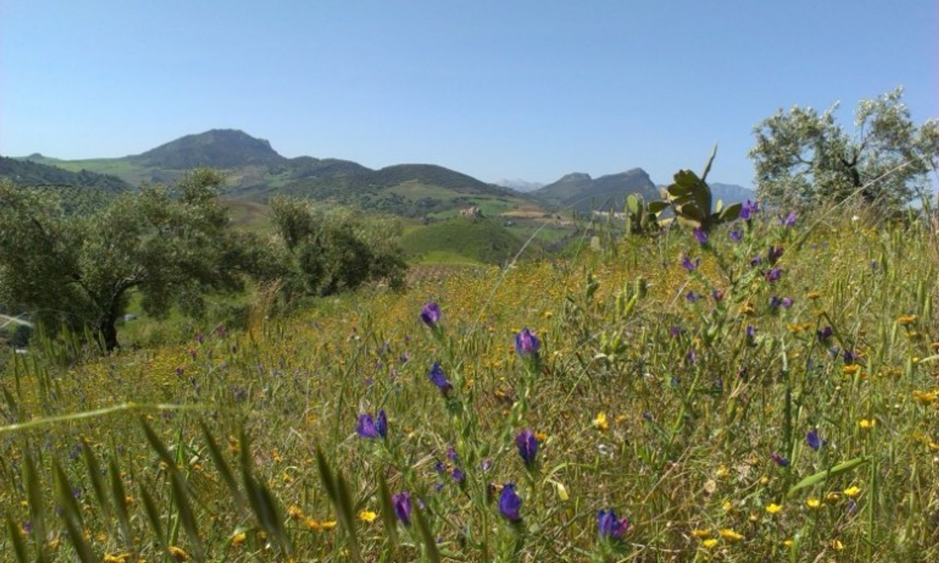 casa no Morón de la Frontera, Andalusia 10700449