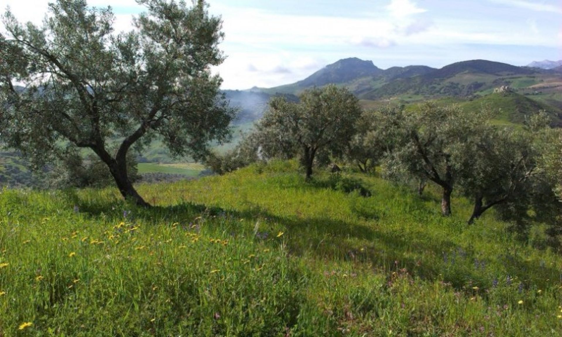 casa no Morón de la Frontera, Andalusia 10700449