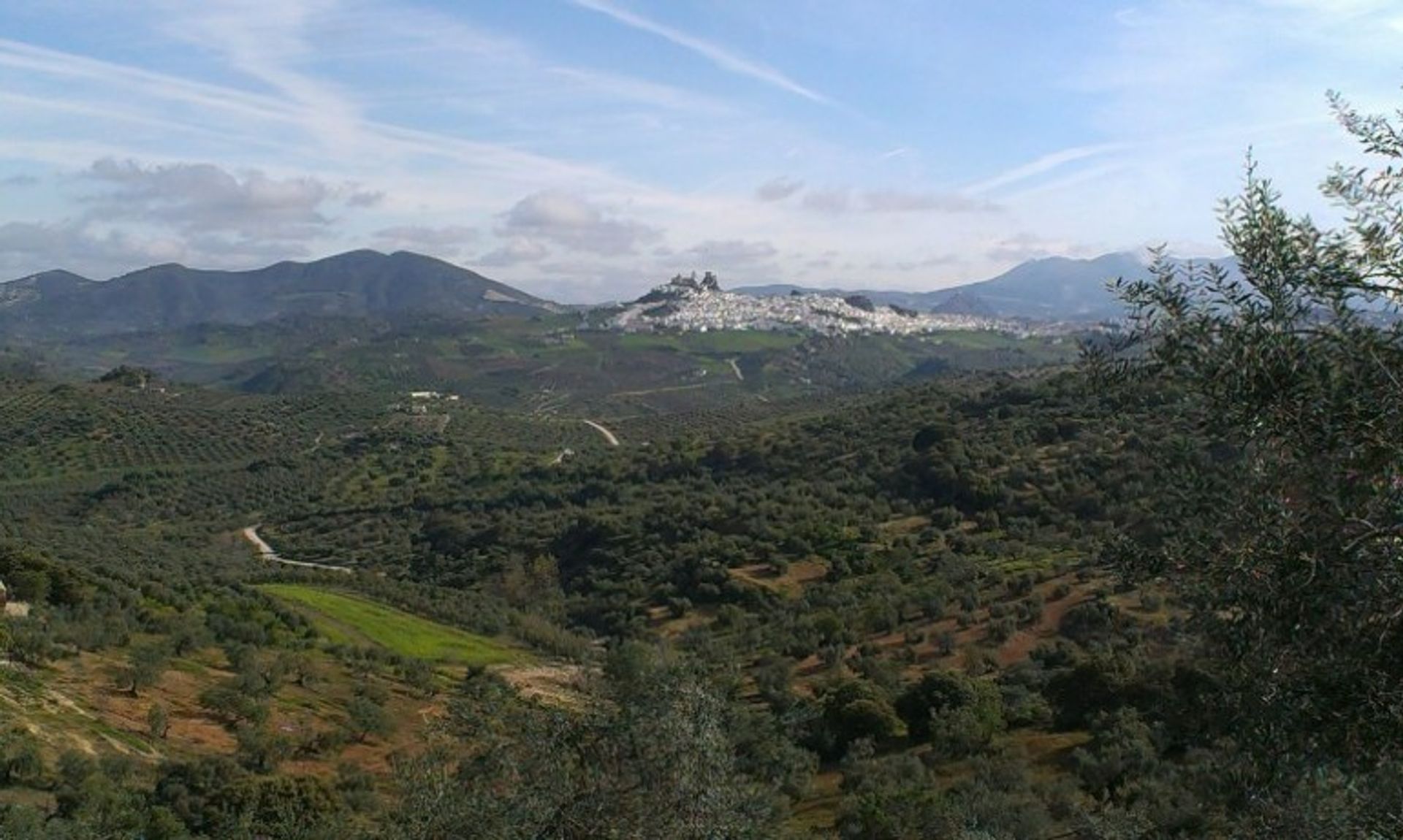 casa en Morón de la Frontera, Andalucía 10700449