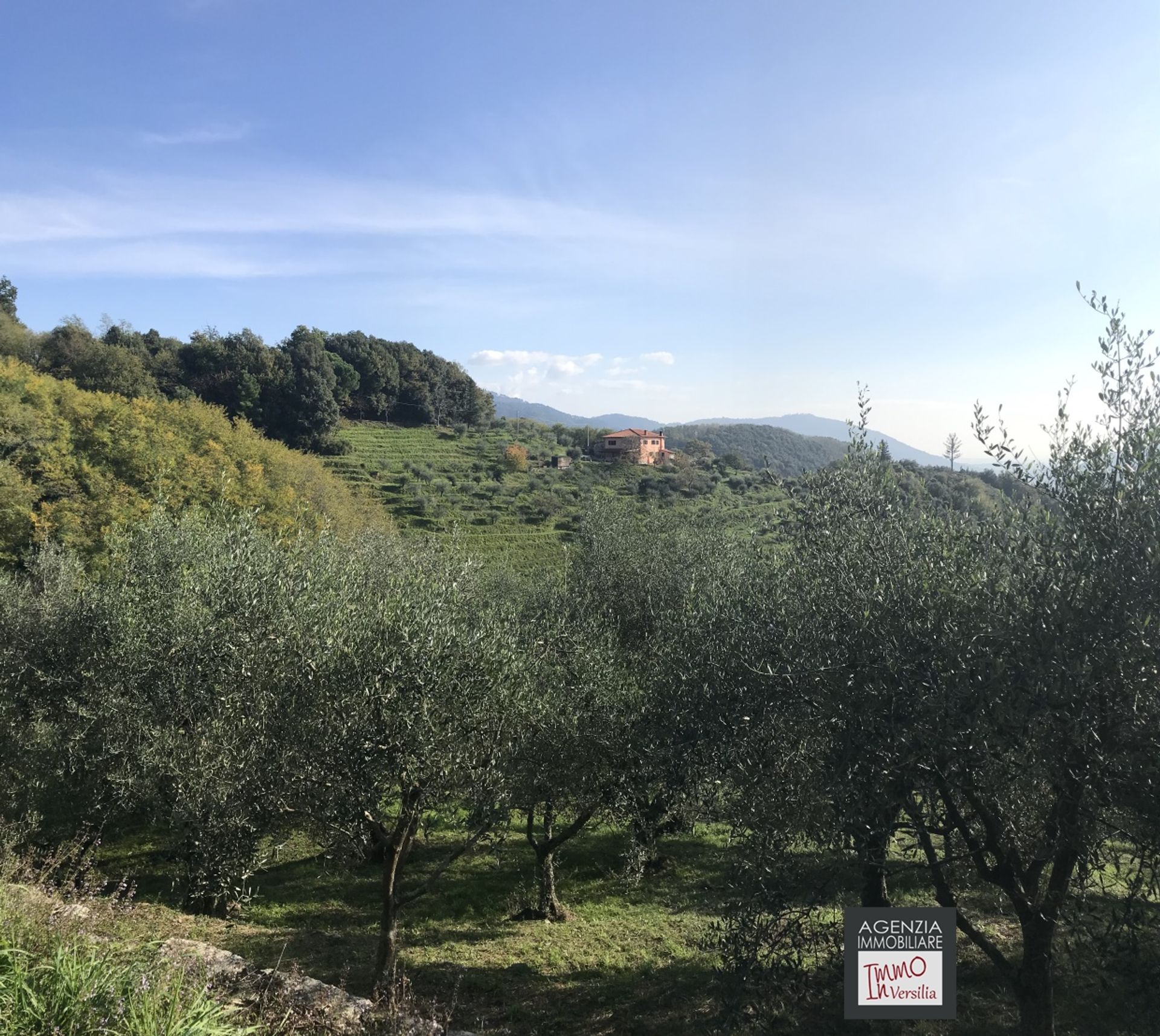 집 에 , Tuscany 10700505