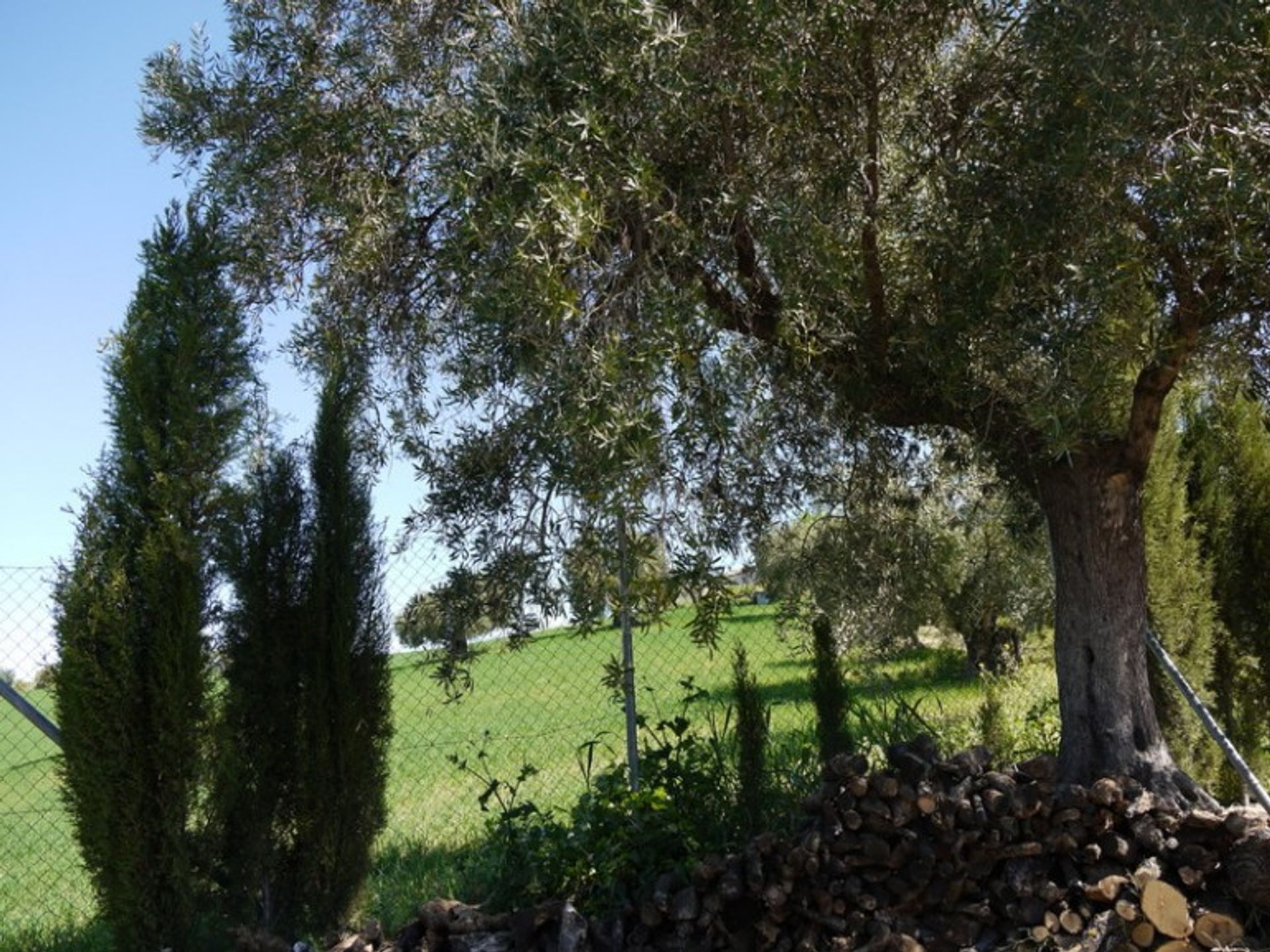 casa en Ronda, Andalucía 10700552