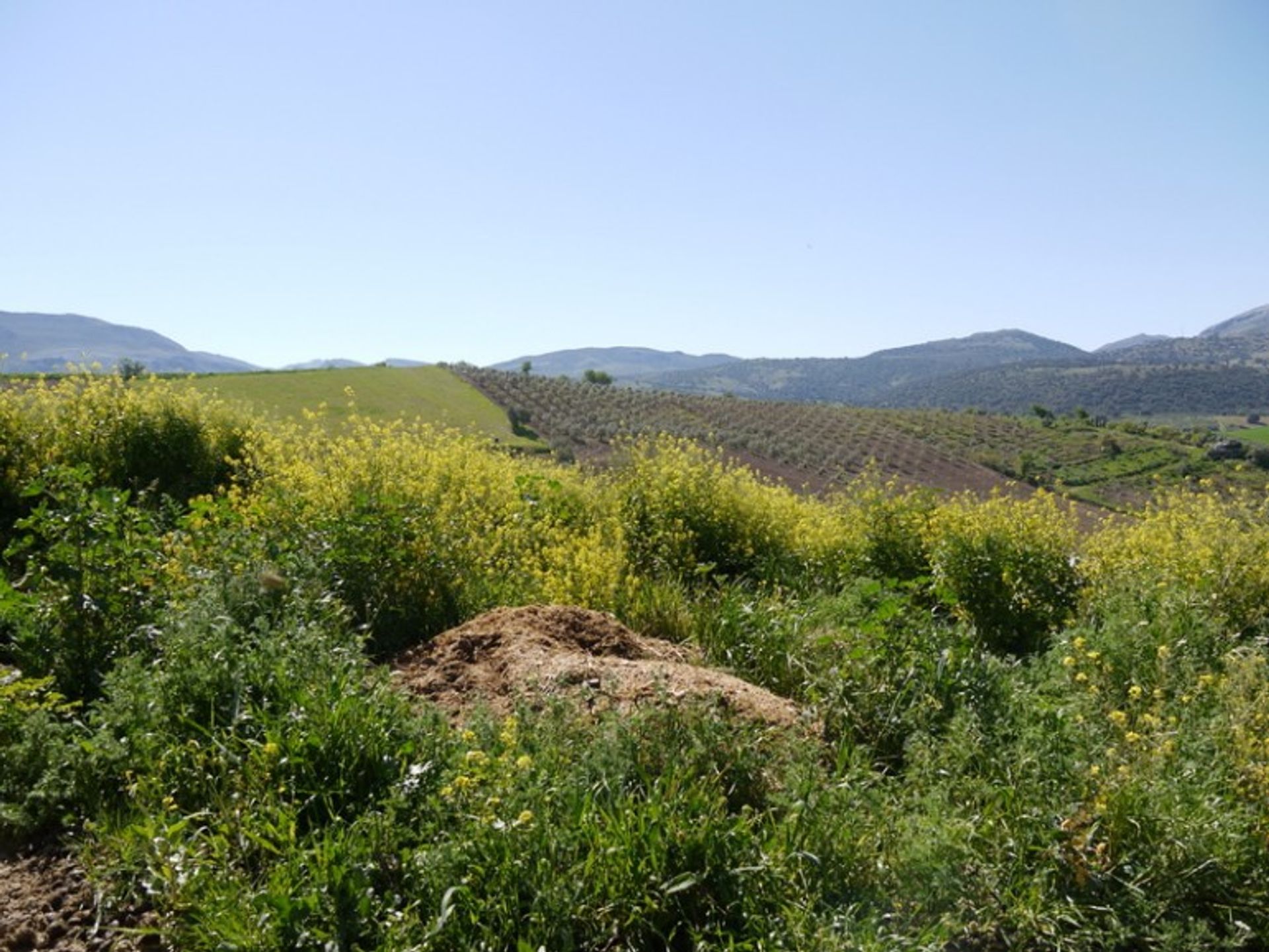 Dom w Ronda, Andalucía 10700552