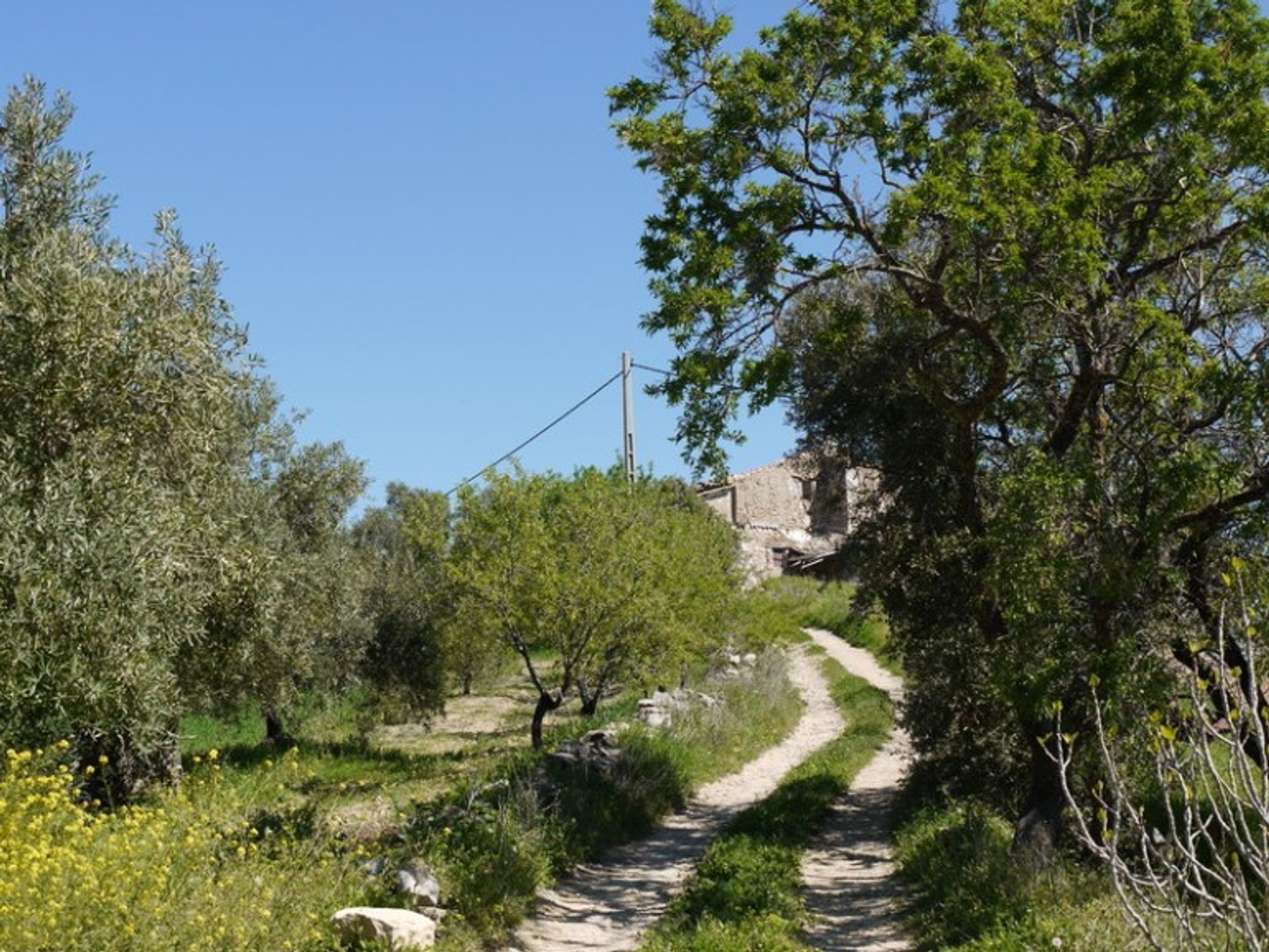 집 에 Ronda, Andalucía 10700552