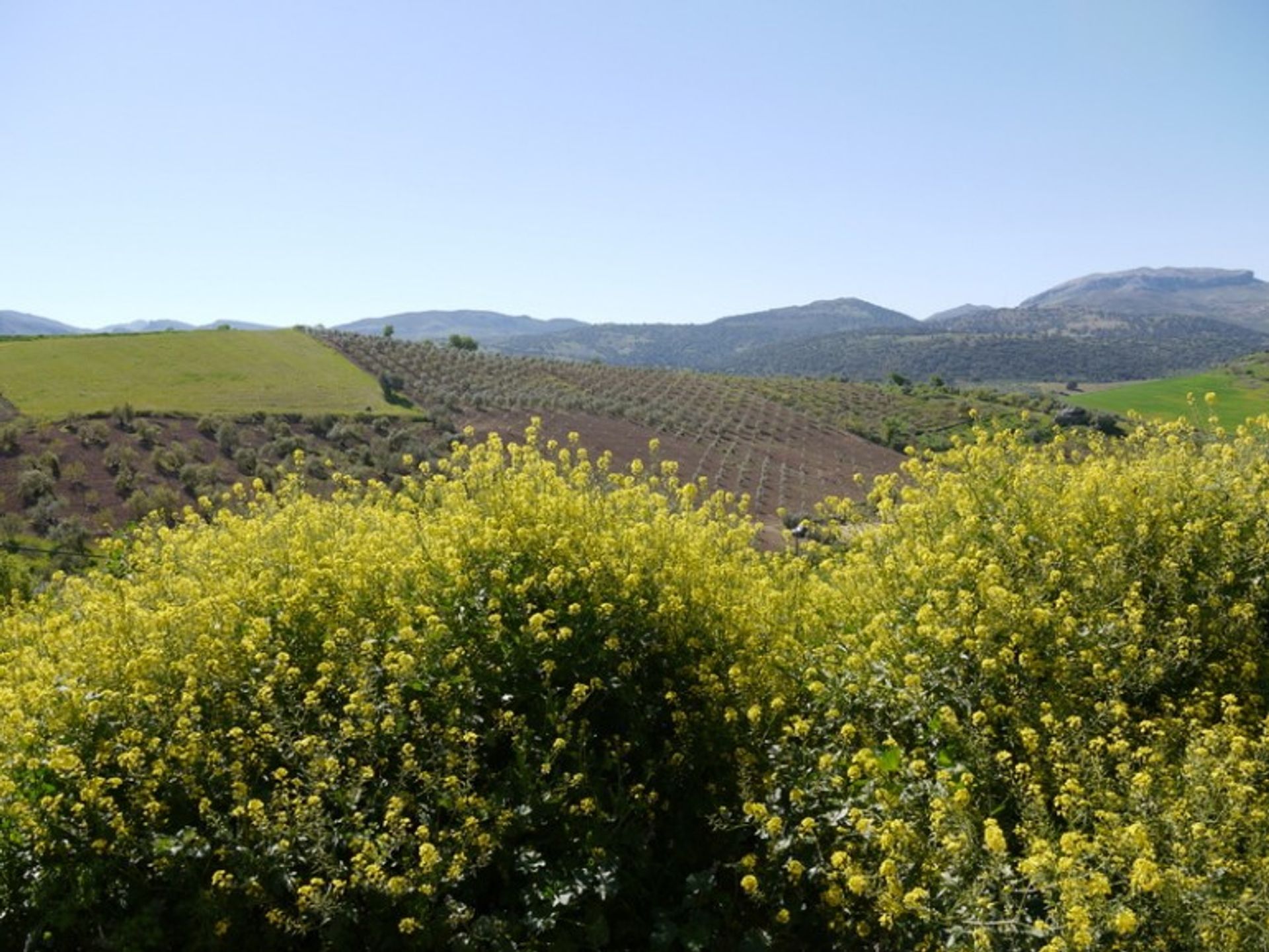 Dom w Ronda, Andalucía 10700552