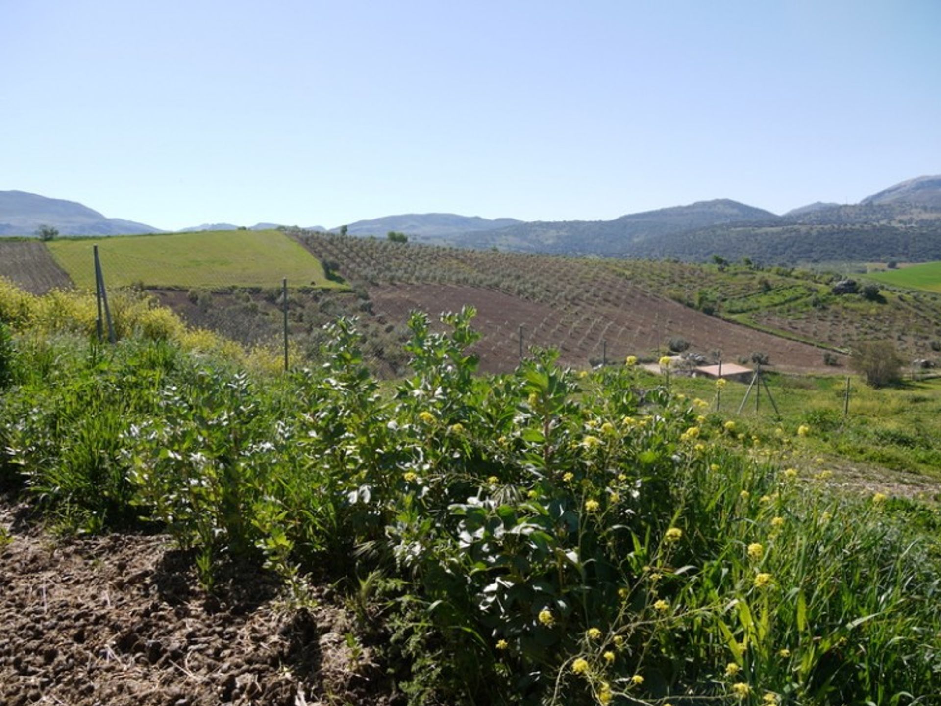 loger dans Ronda, Andalucía 10700552