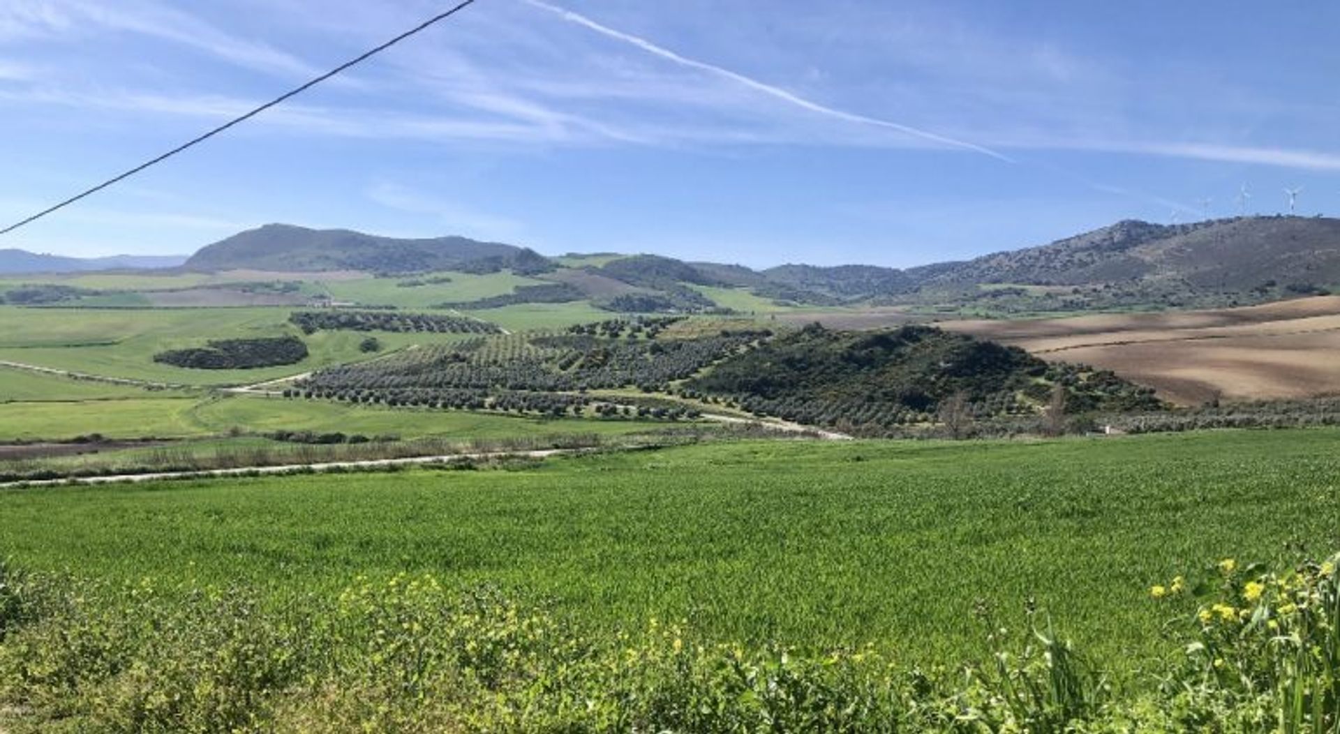 Hus i Ronda, Andalucía 10700553