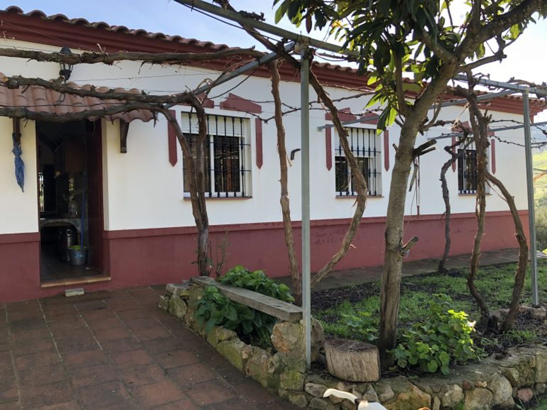 rumah dalam Olvera, Andalusia 10700561