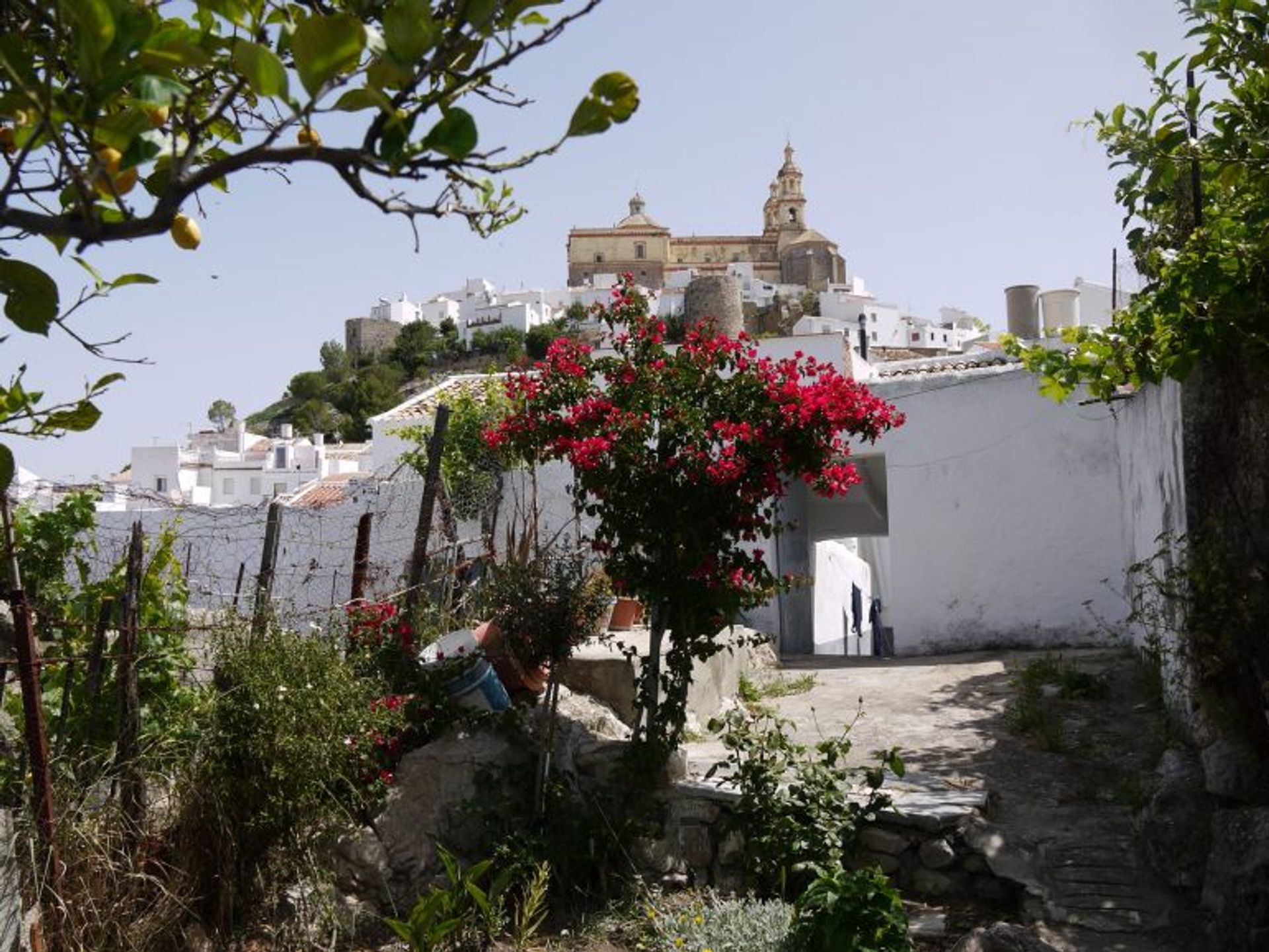 σπίτι σε Olvera, Andalusia 10700696