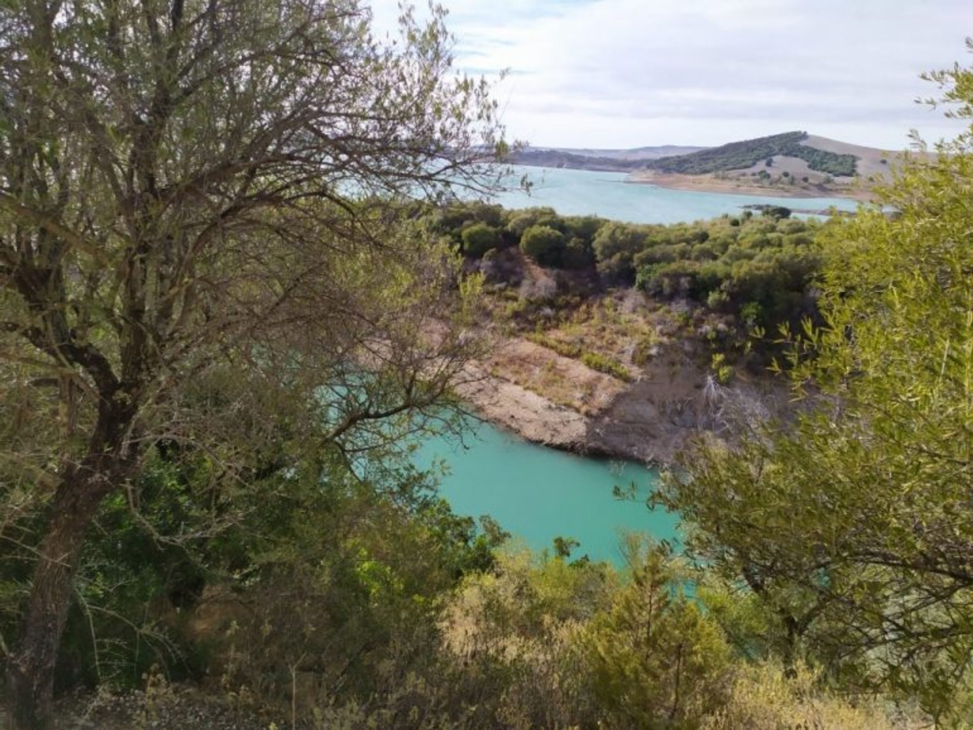 Земля в Algar, Andalusia 10700970