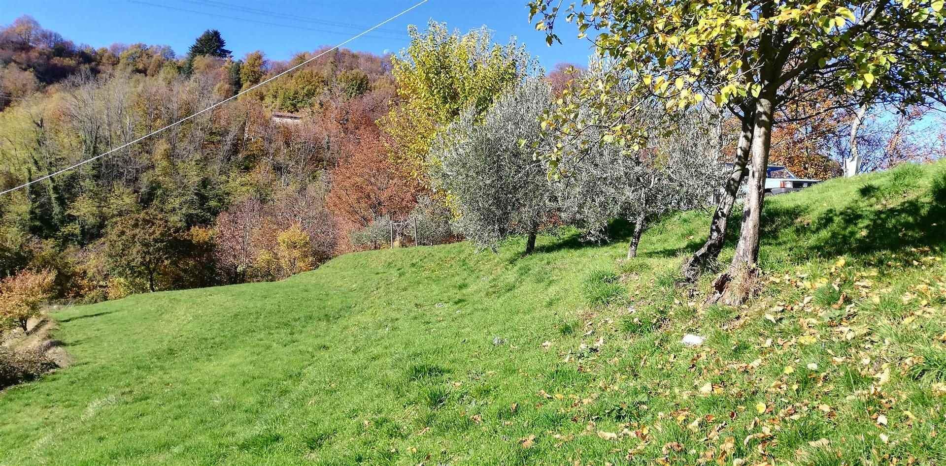 casa no Molazzana, Tuscany 10700989