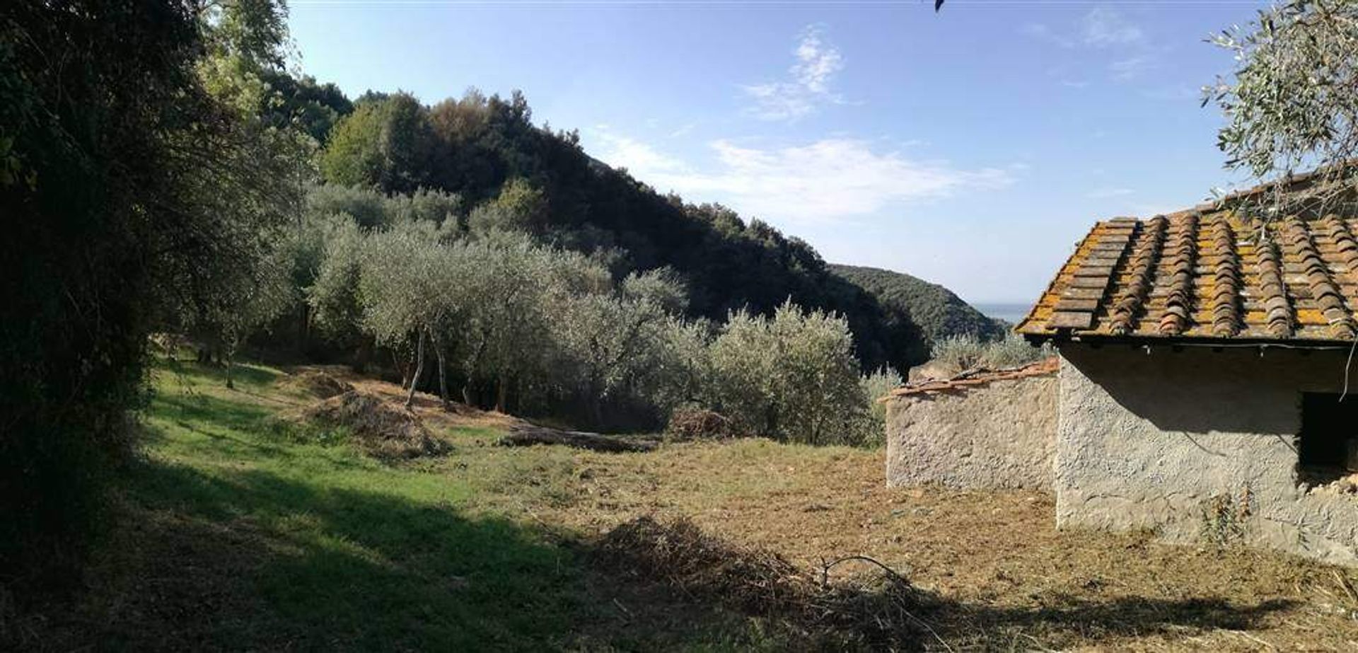 Hus i Stabbiano, Tuscany 10701492