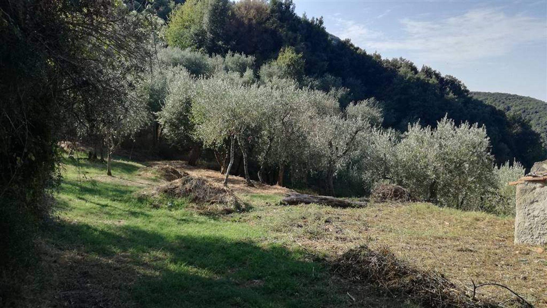 Hus i Stabbiano, Tuscany 10701492