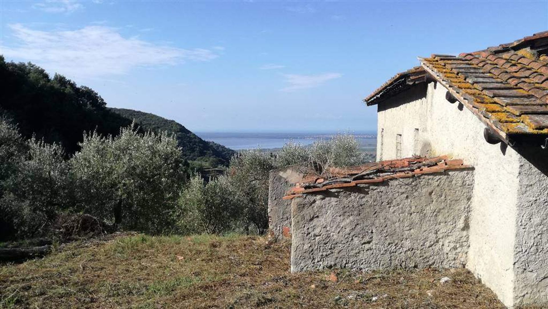 Hus i Stabbiano, Tuscany 10701492