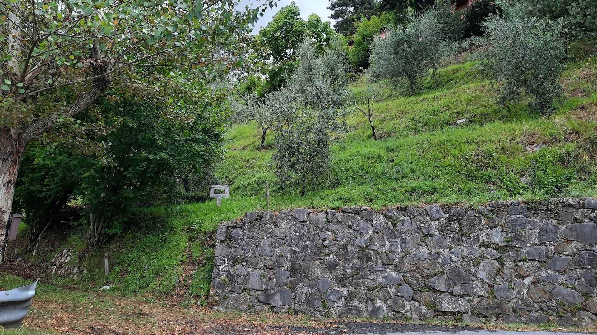 Haus im Barga, Tuscany 10701495