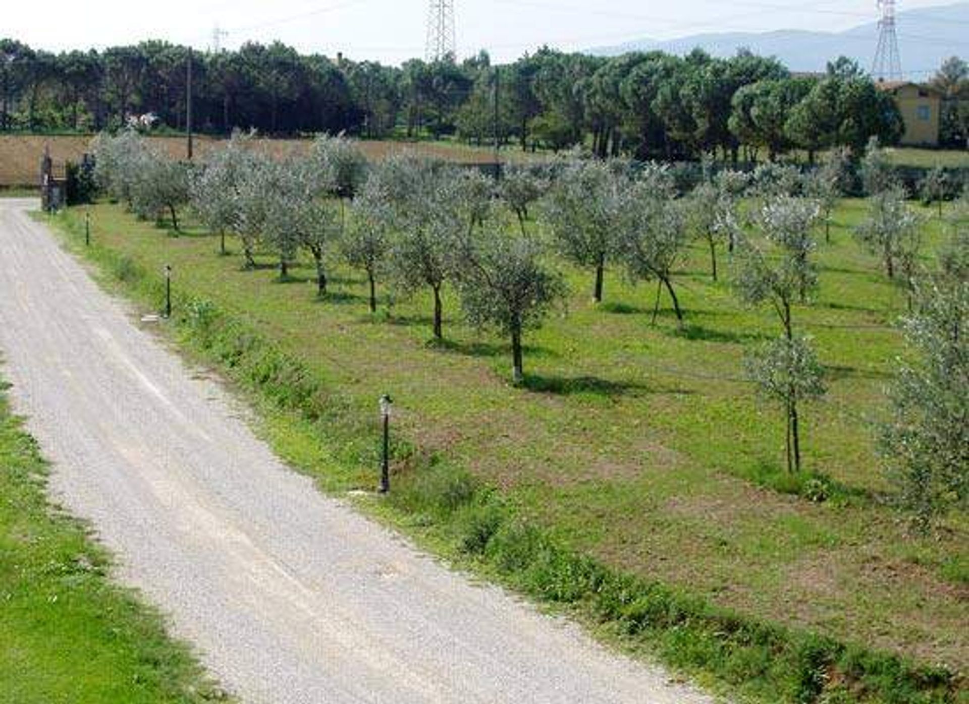 بيت في Altopascio, Toscana 10701519