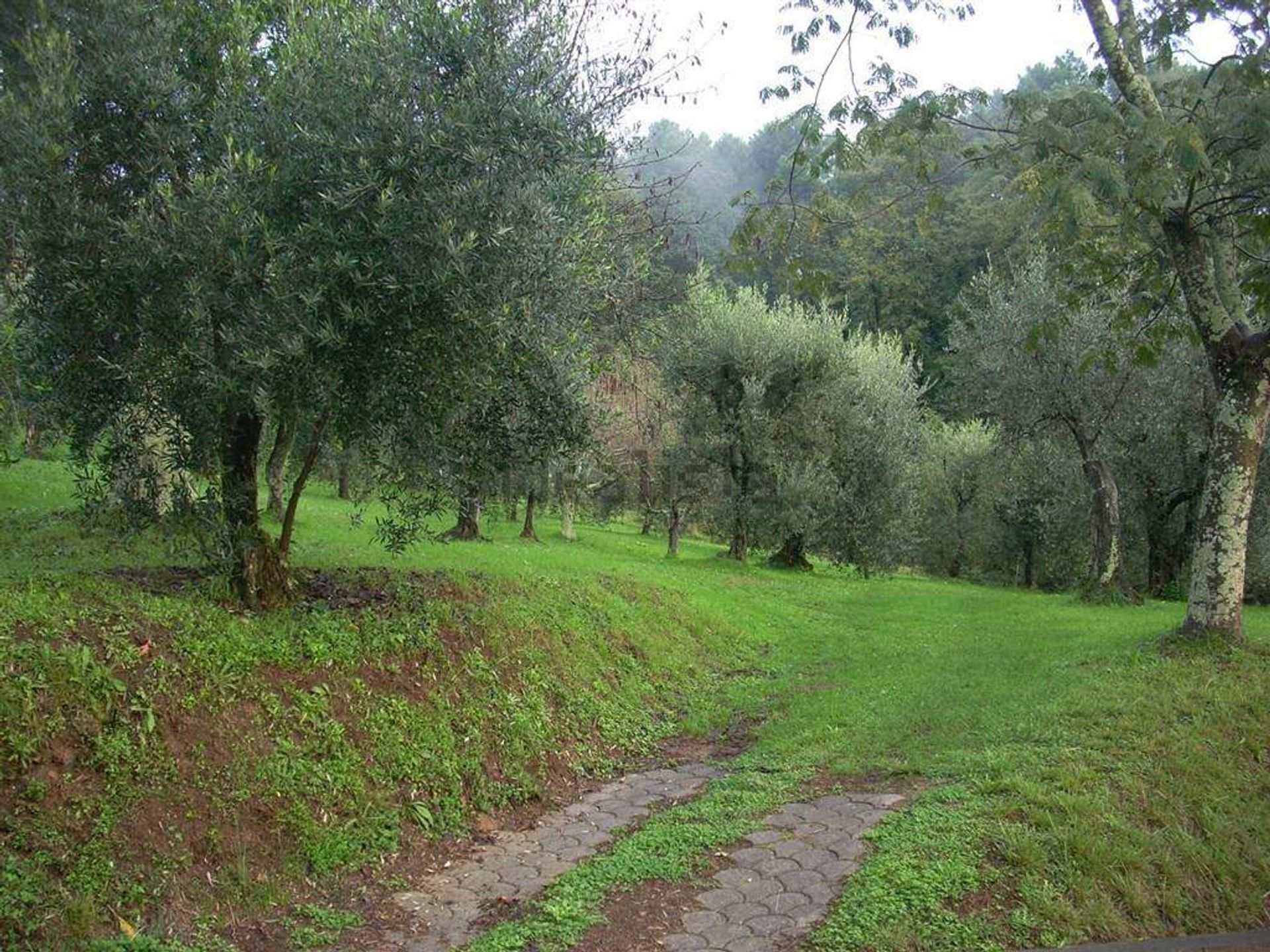 loger dans Pieve di Brancoli, Tuscany 10701534