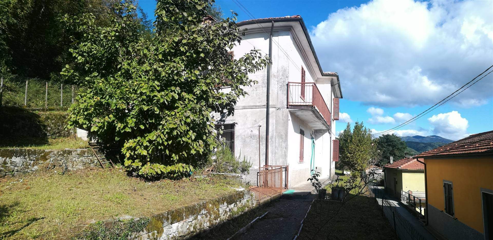 Haus im Gorfigliano, Toscana 10701540