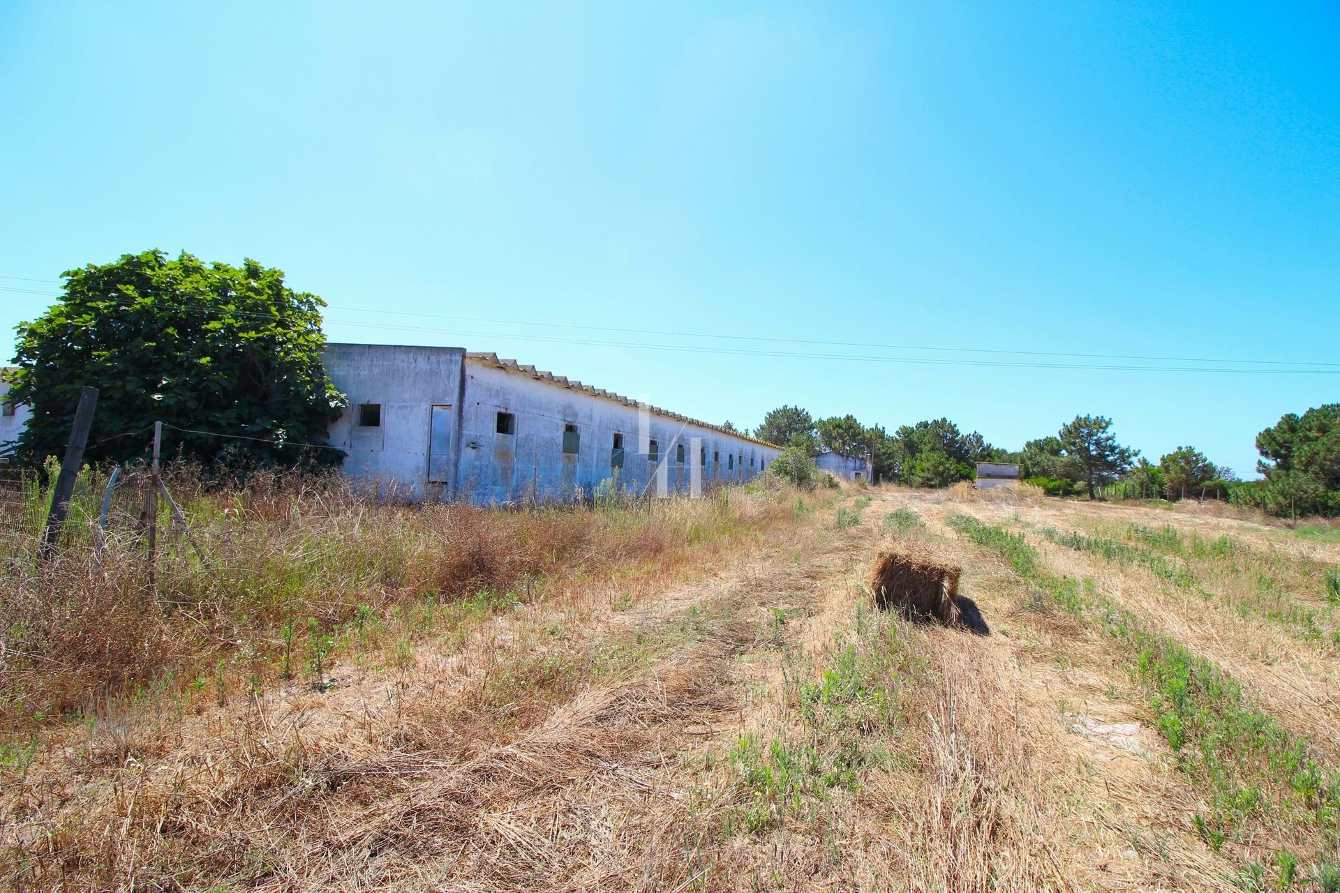 Terre dans Odeceixe, Faro District 10701579