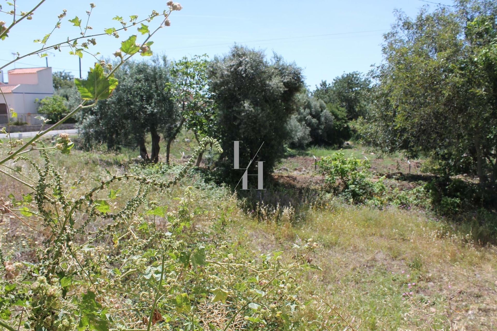 Land im São Brás de Alportel, Faro District 10701585