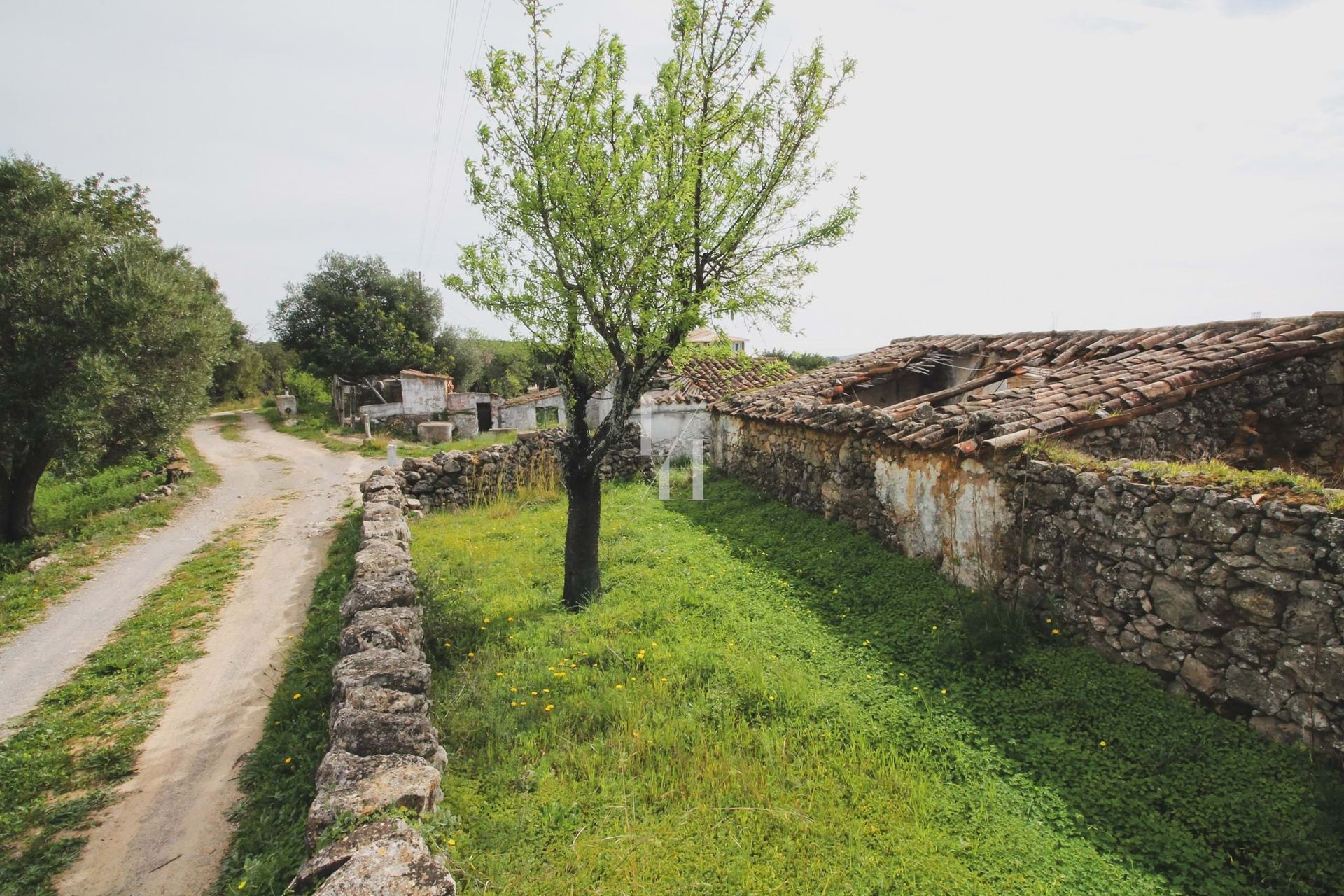 Land in Cerro da Mesquita, Faro 10701587