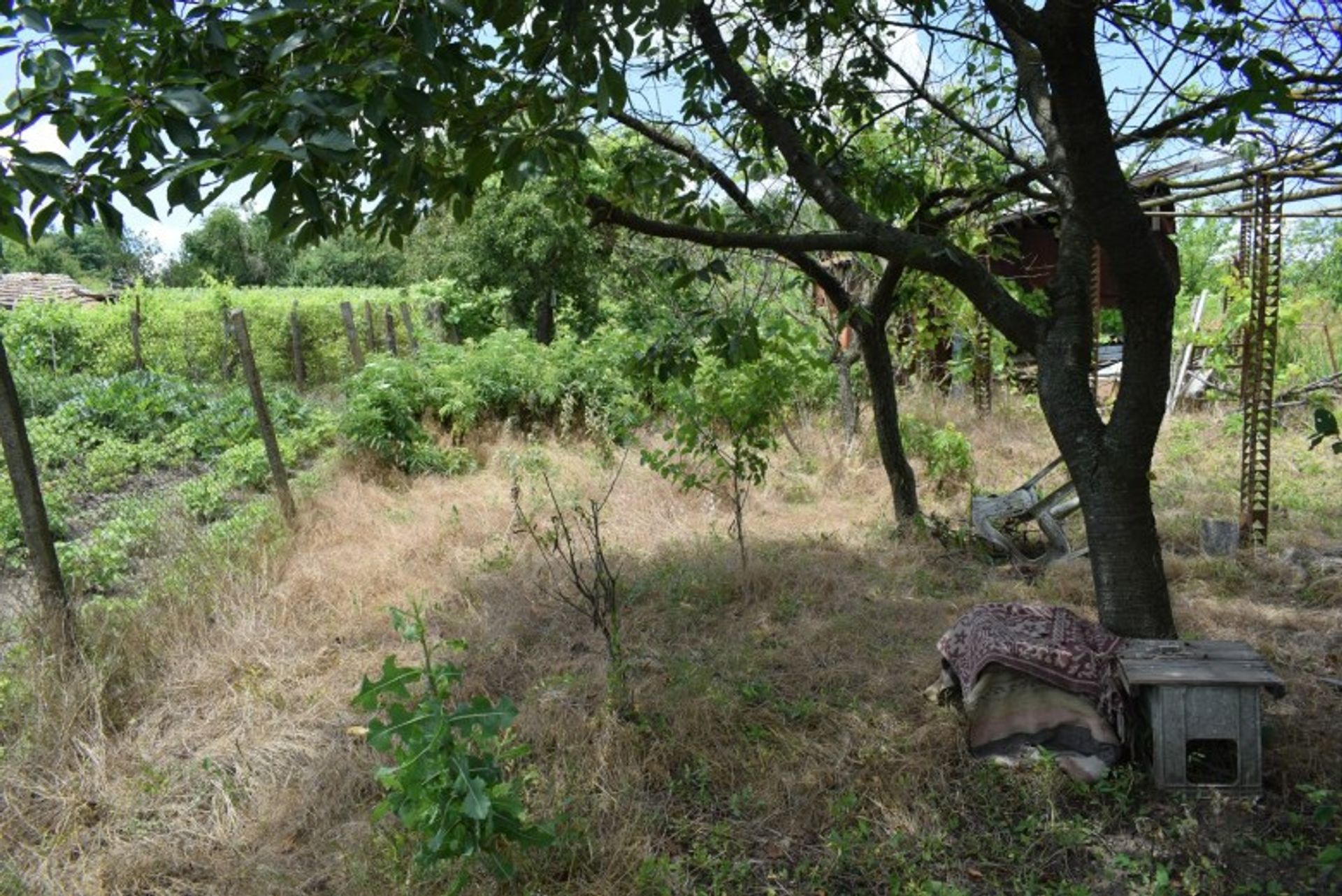 집 에 Dobrich, Dobrich Province 10701728