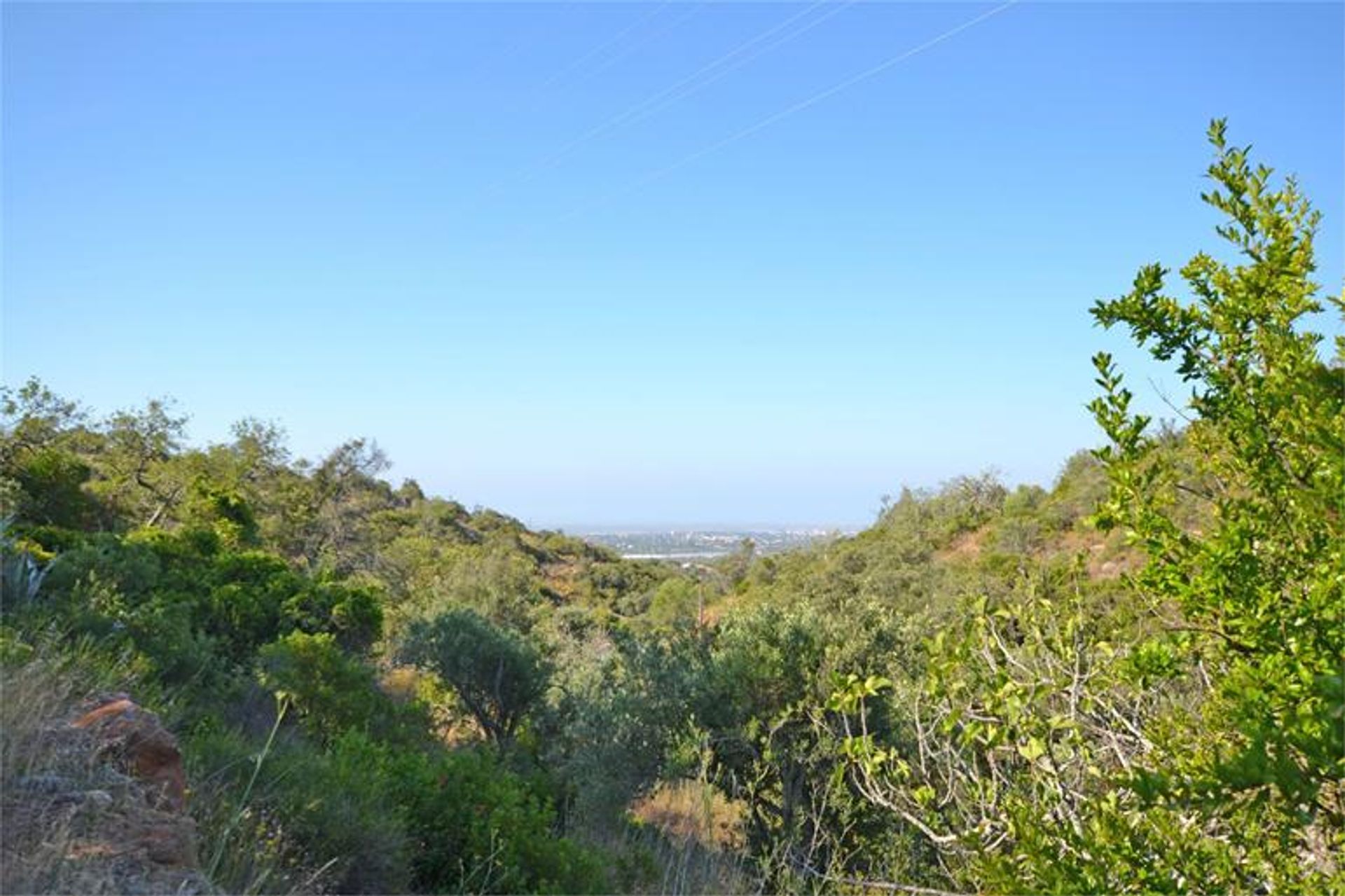 ארץ ב , Faro District 10701779