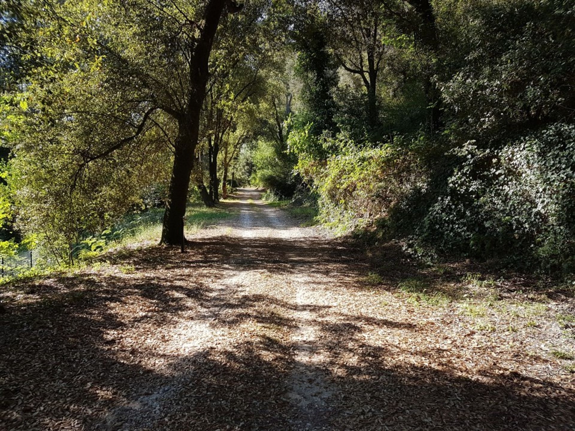 жилой дом в Castagneto Carducci, Toscana 10701797