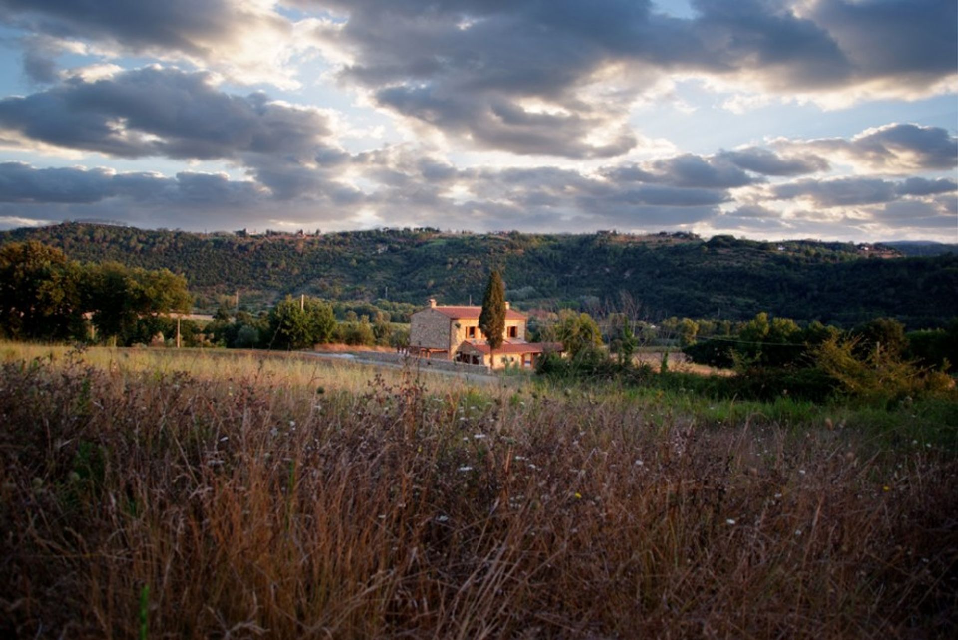 House in Montescudaio, Toscana 10701799