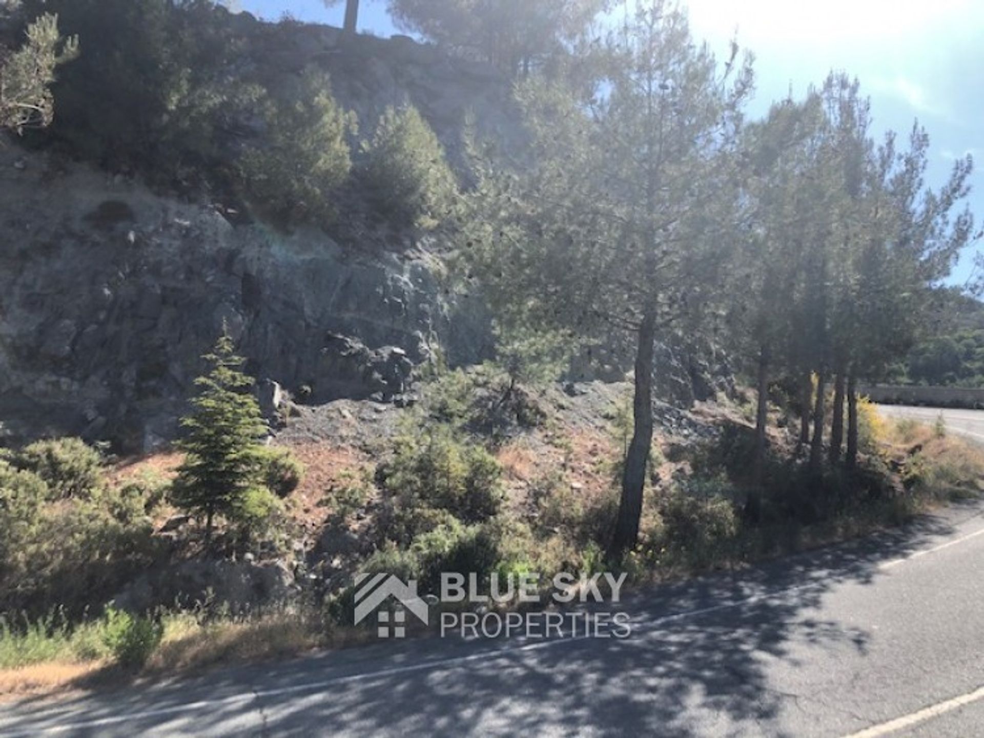 Land in Palodeia, Lemesos 10701824