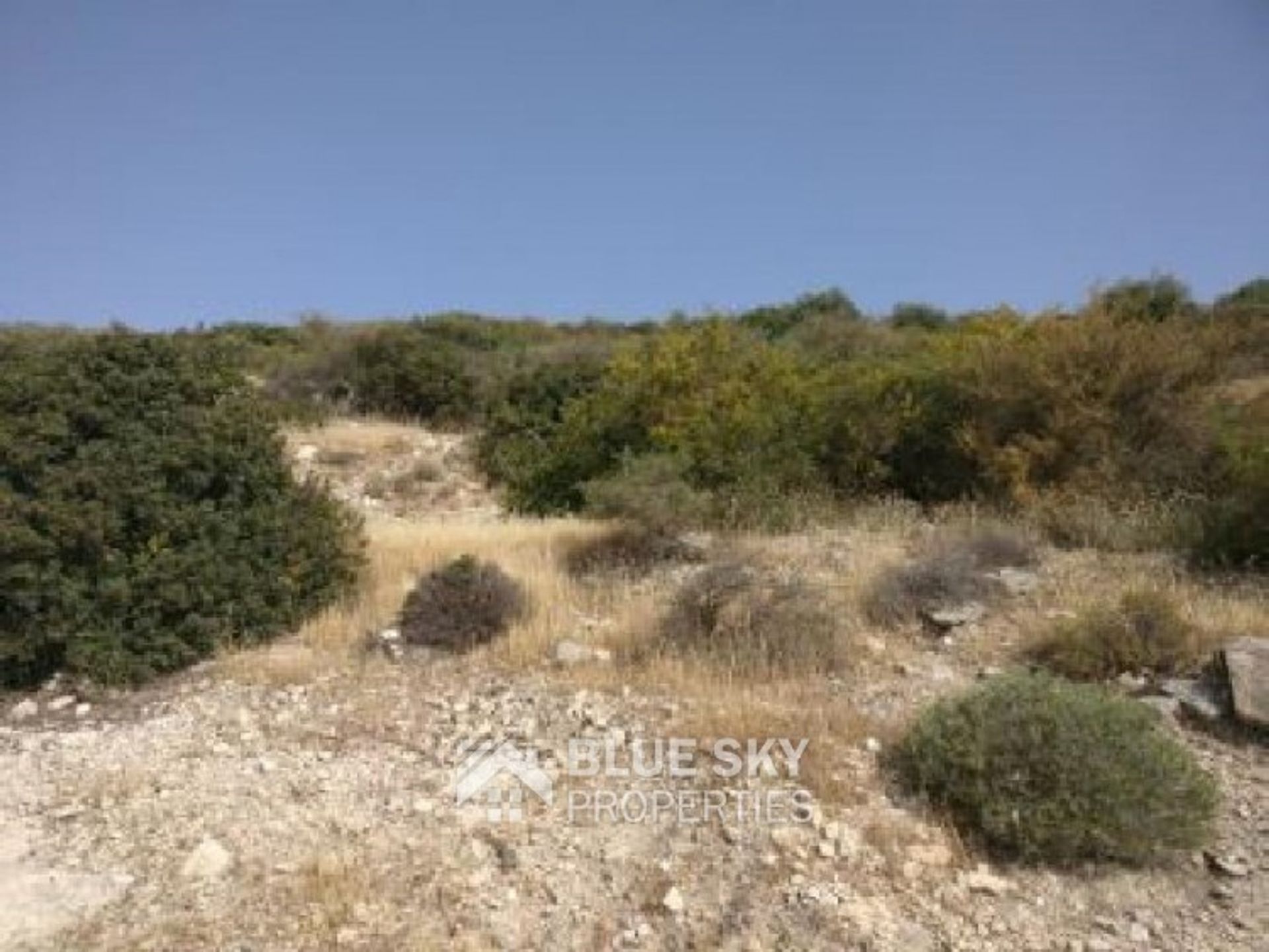 Terre dans Palodée, Lémésos 10701913