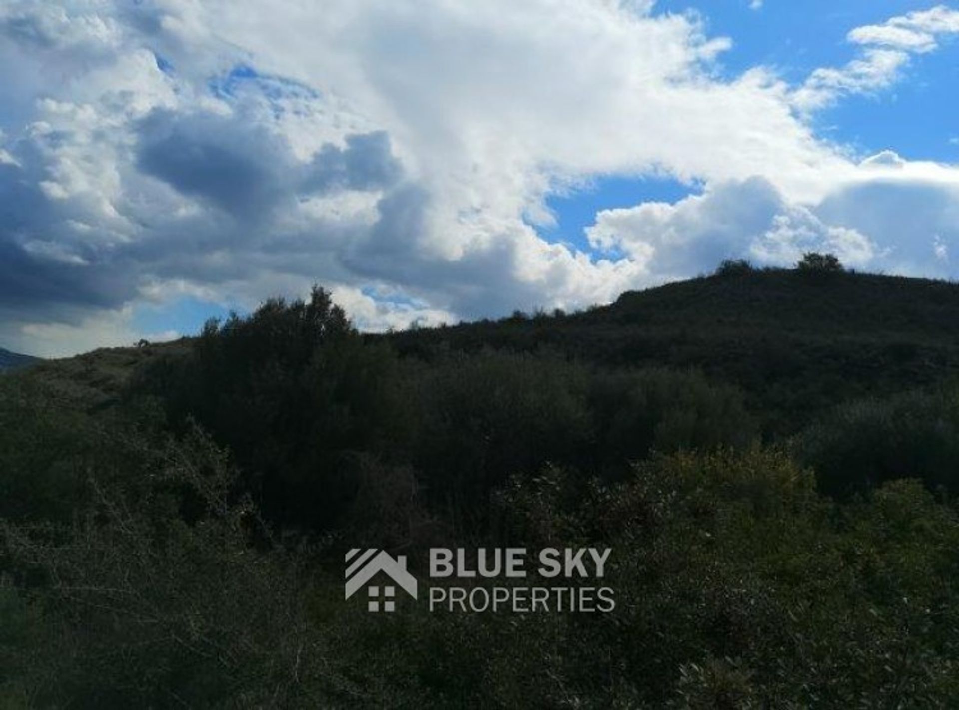 Land in Palodeia, Lemesos 10702056