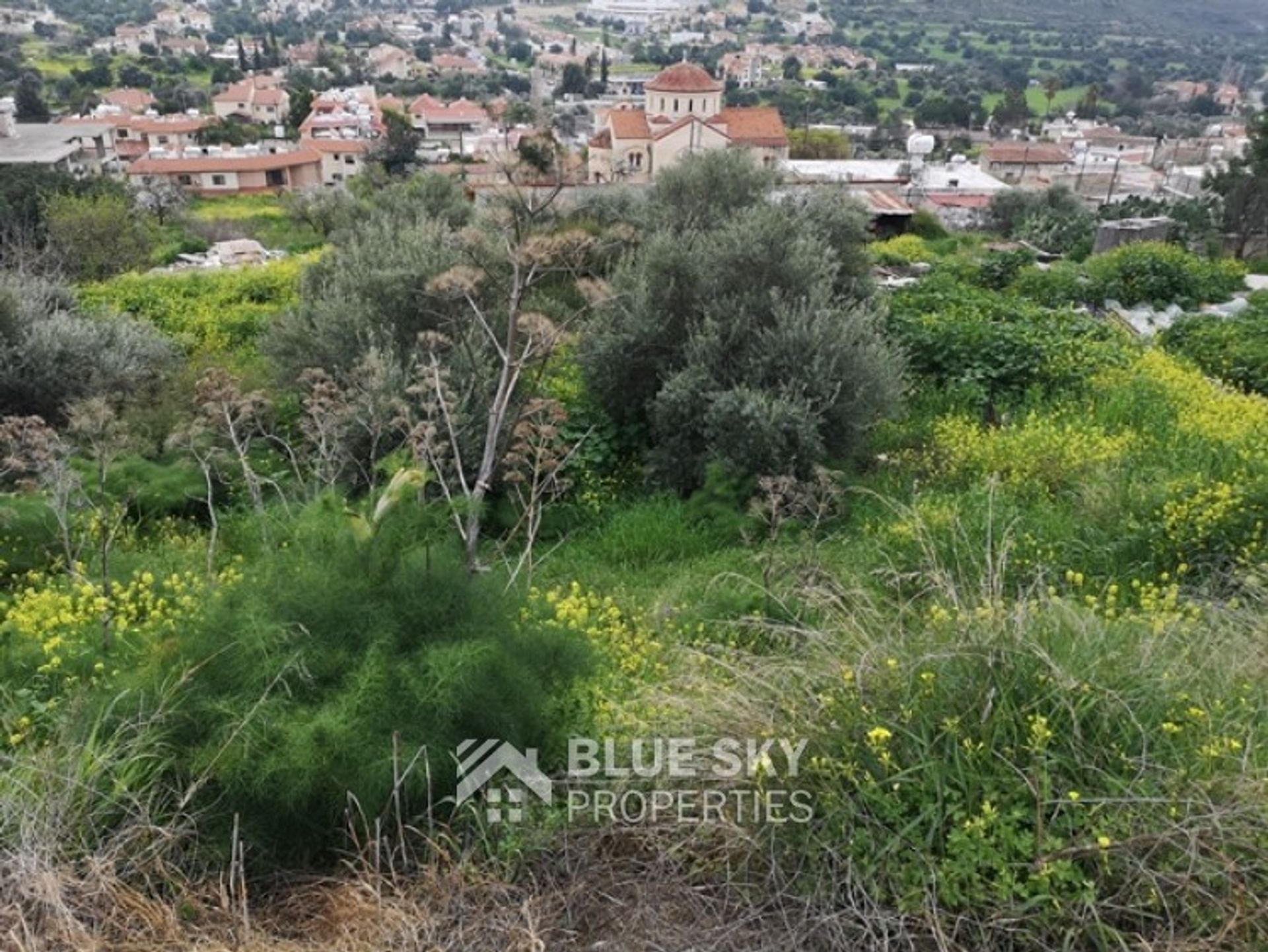 Tierra en palodeia, lemesos 10702125