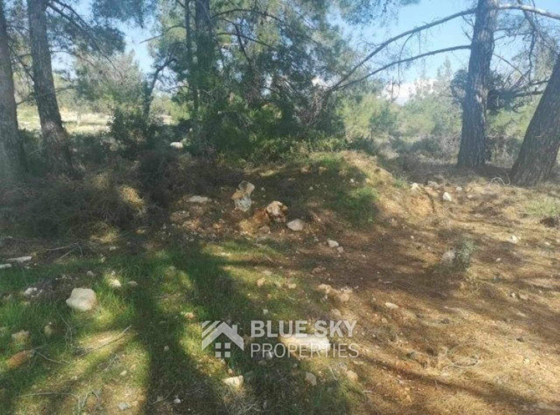 Land i Souni-Zanakia, Limassol 10702303