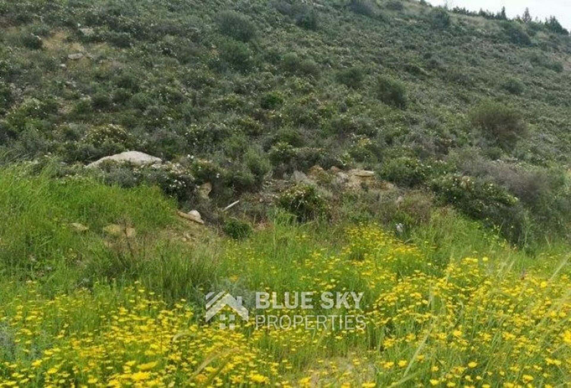 Terre dans Limassol, Lémésos 10702602