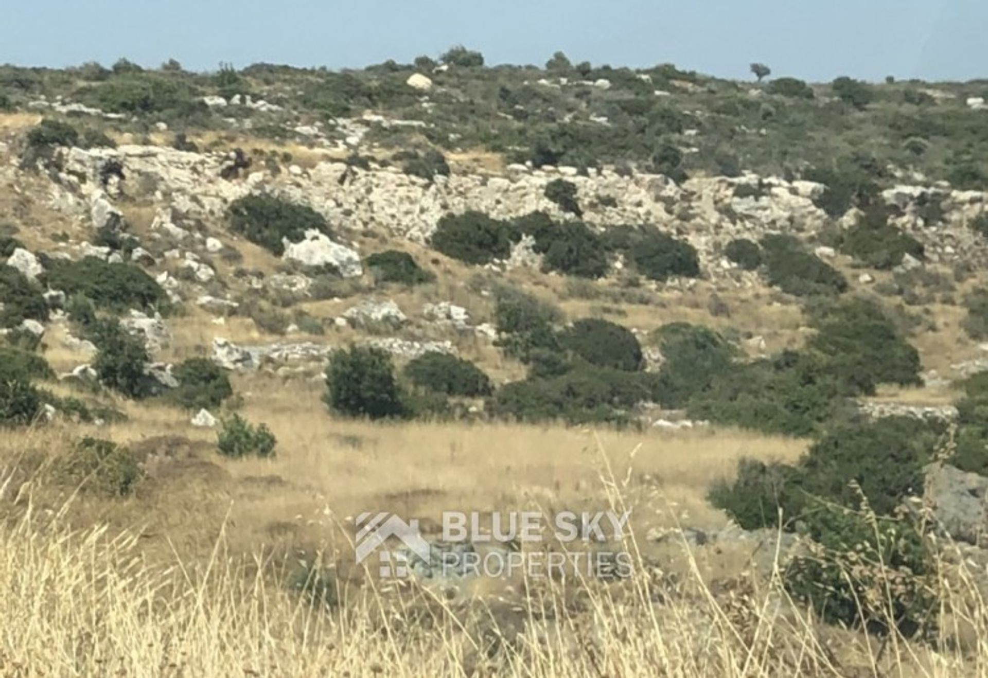 Land im Agios Tychon, Larnaka 10702614