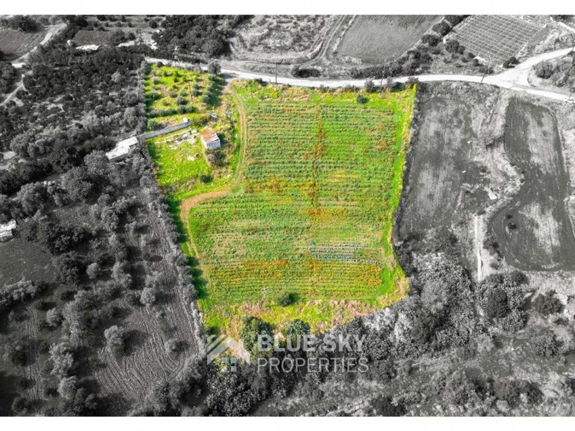 Land in Pyrgos, Larnaca 10703212