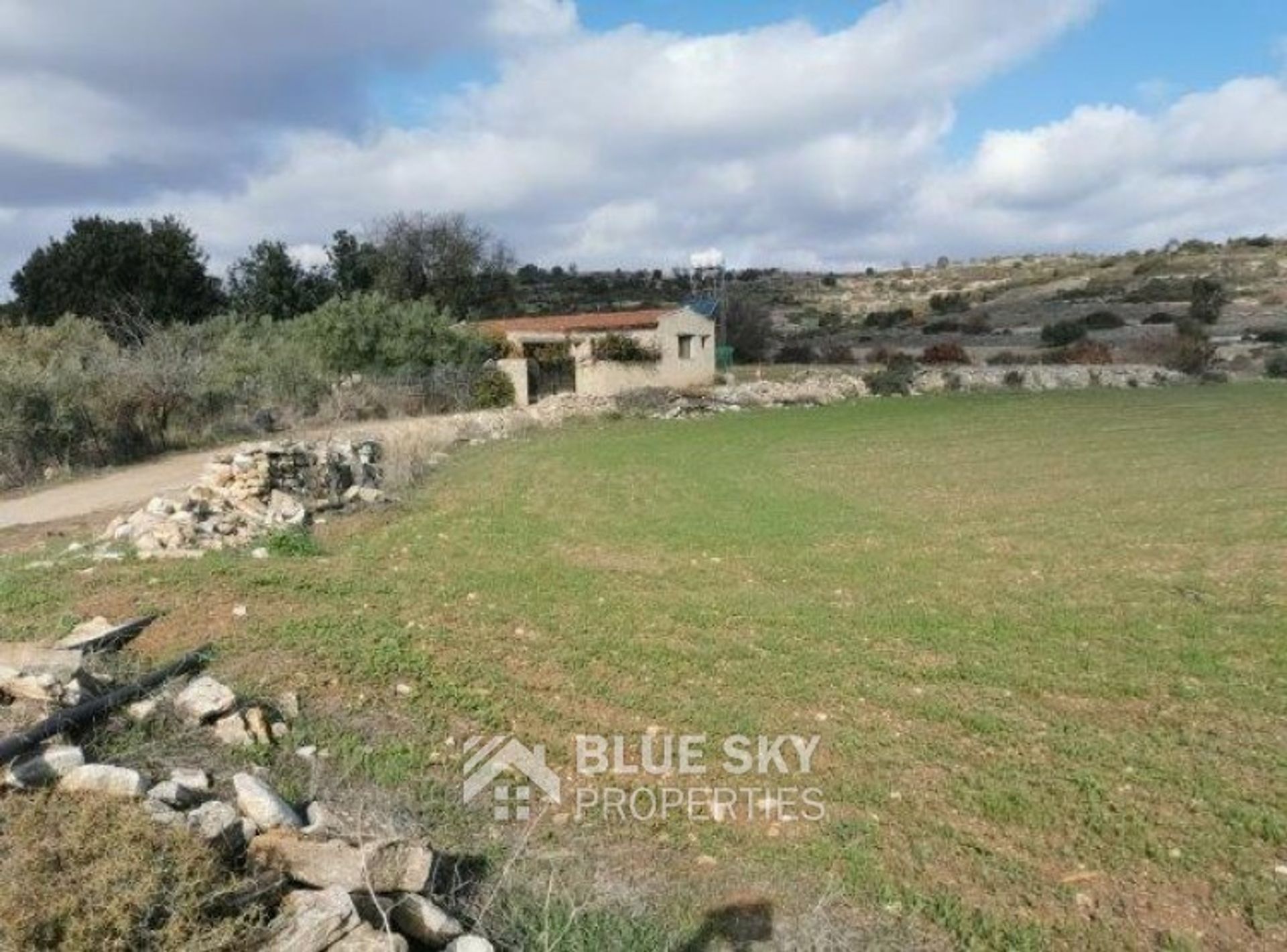 Land i Pampoula, Lemesos 10703347