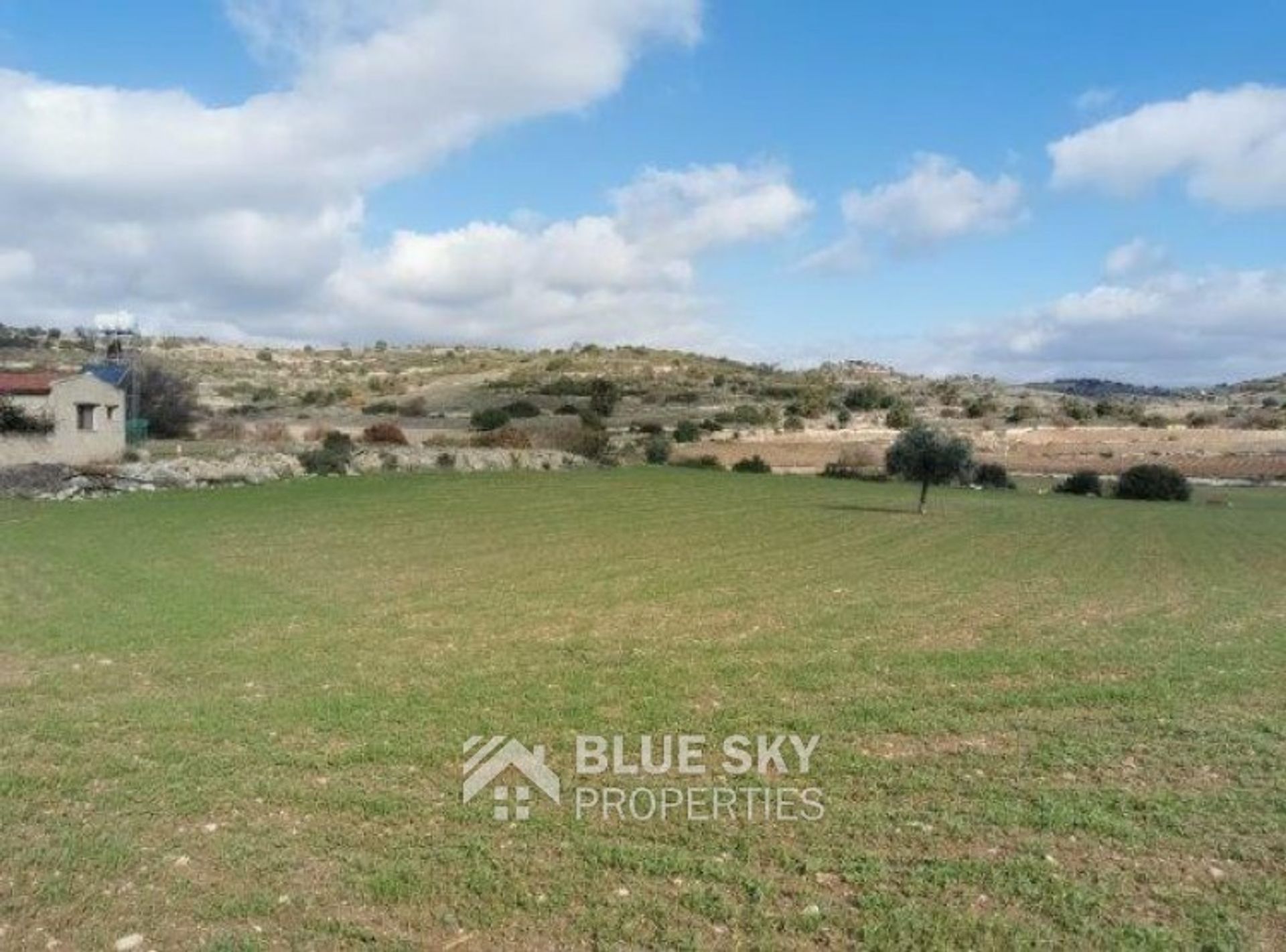 Land i Pampoula, Lemesos 10703347