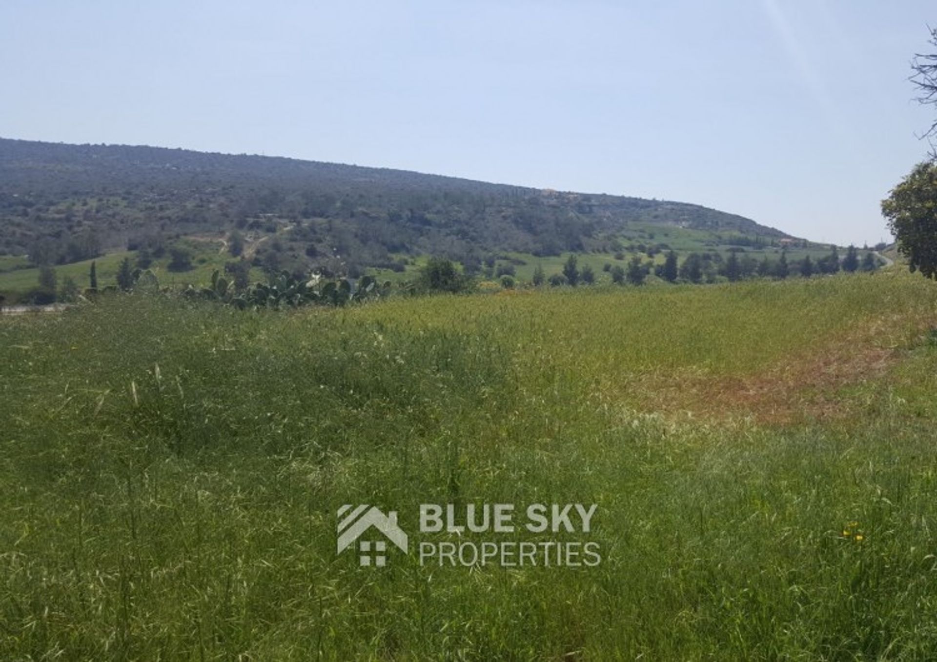 Land in Pyrgos, Larnaka 10703620