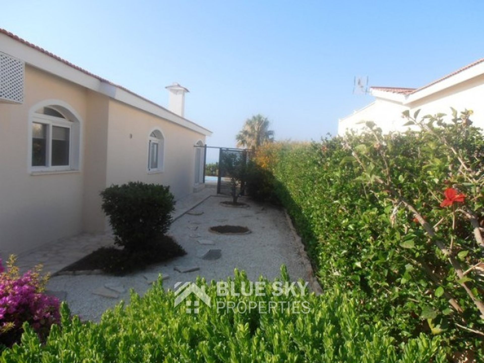 Haus im Pissouri, Limassol 10703941