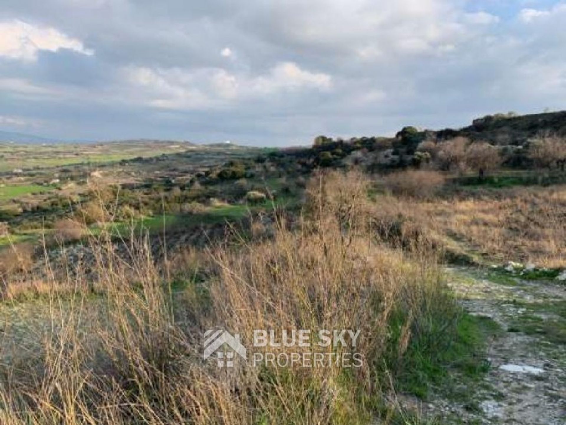 Tierra en Pegeia, Pafos 10704655