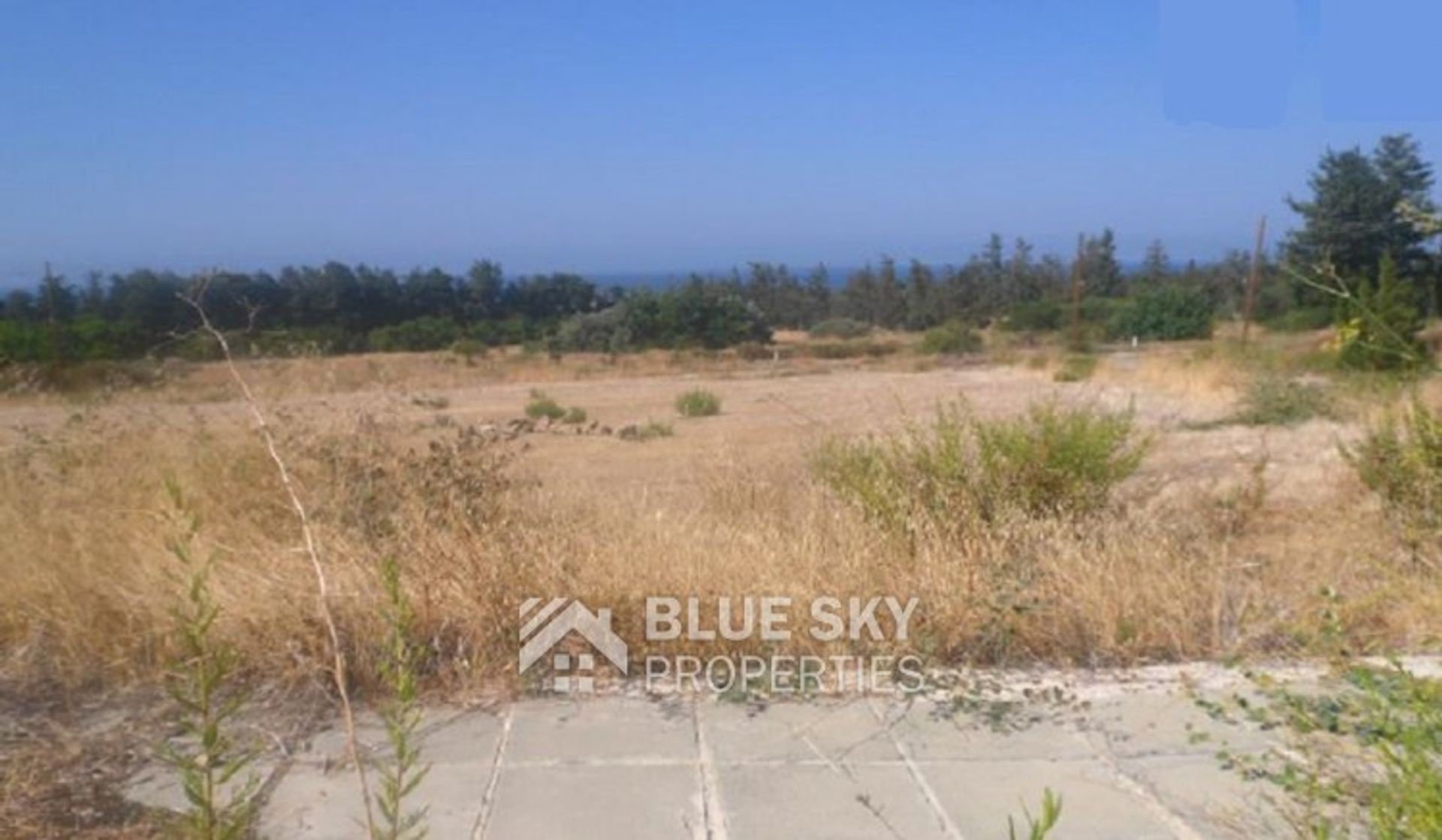 Land in Kouklia, Paphos 10704758