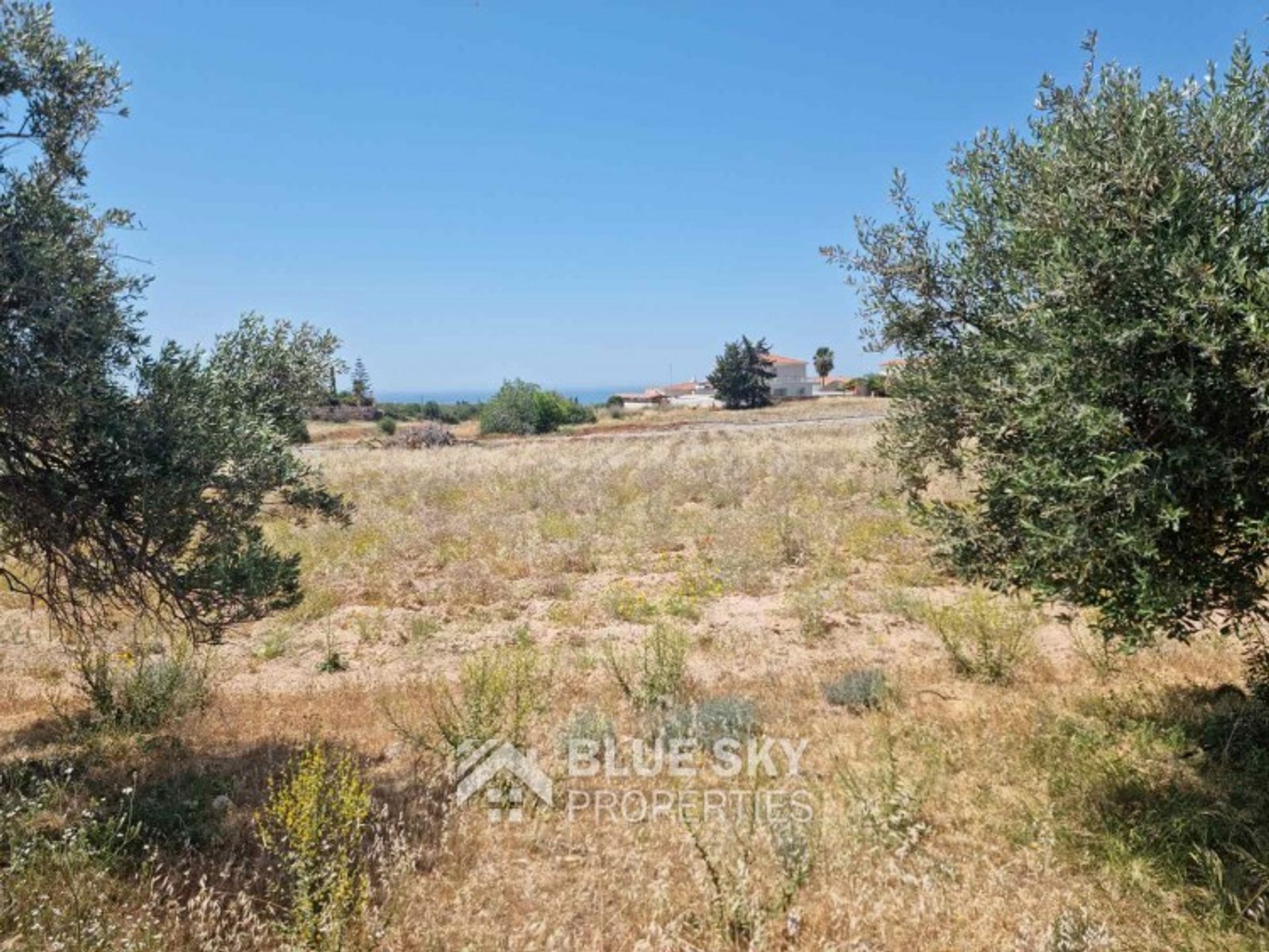 Land i Anarita, Paphos 10704968