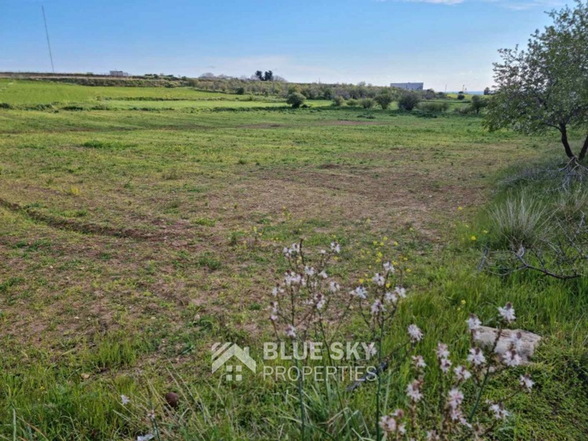 Land in Agia Marinouda, Pafos 10704969