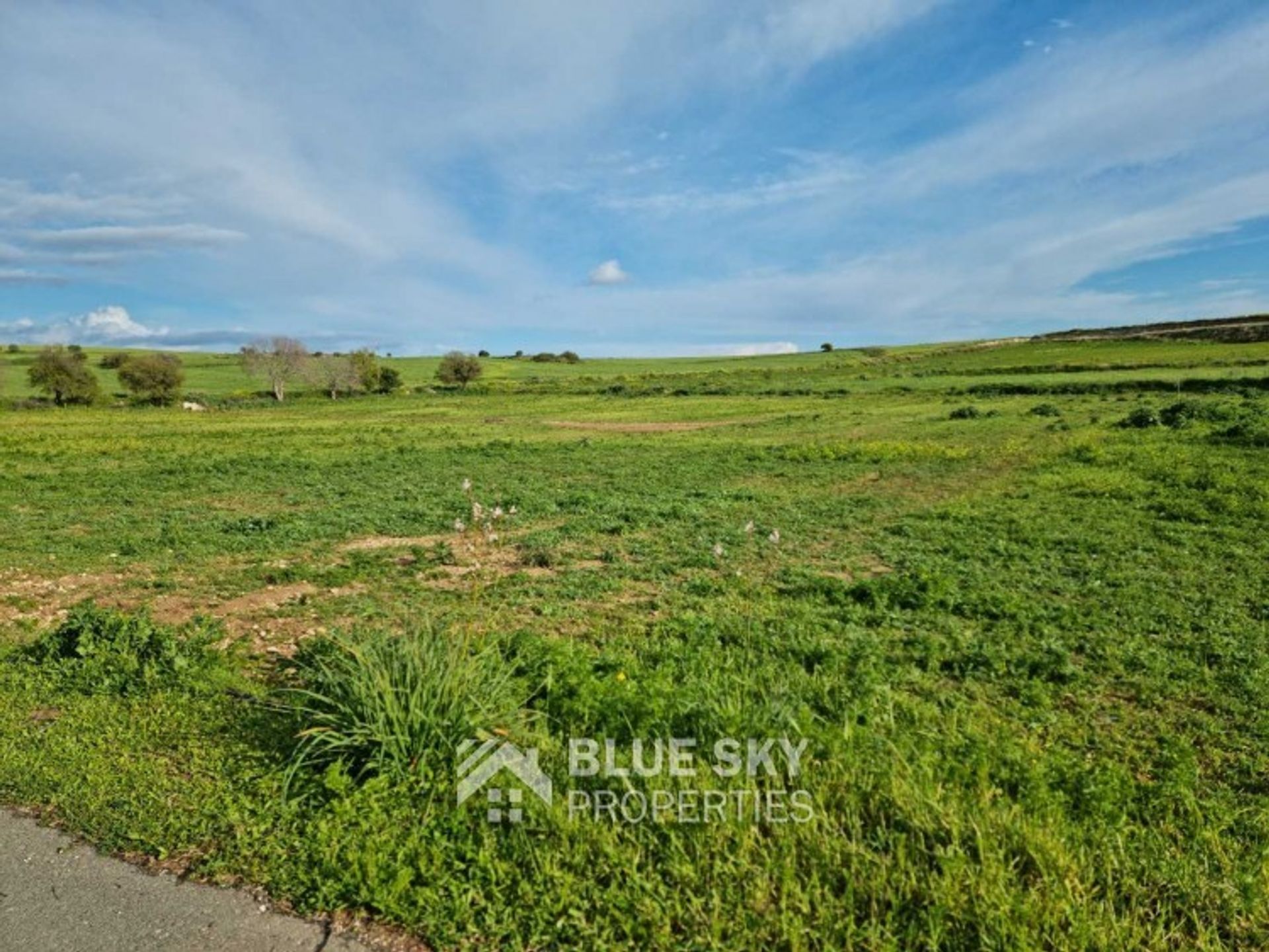 Land in Agia Marinouda, Pafos 10704969